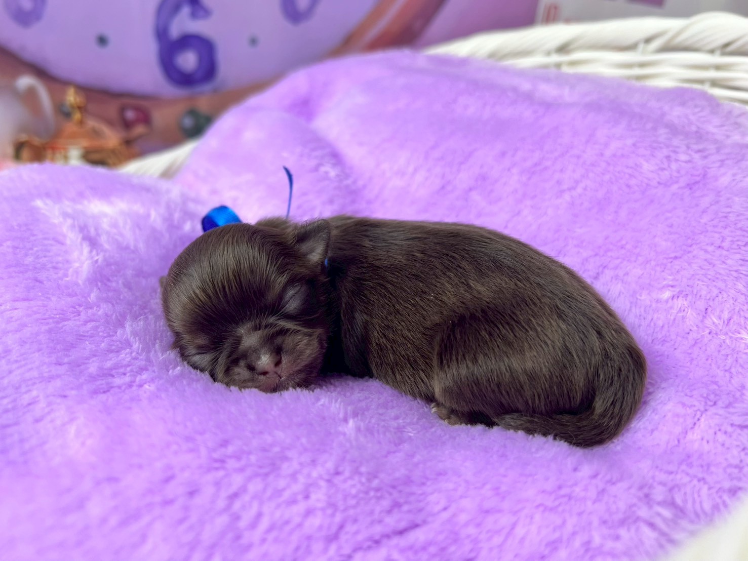 赤ちゃん写真1-2