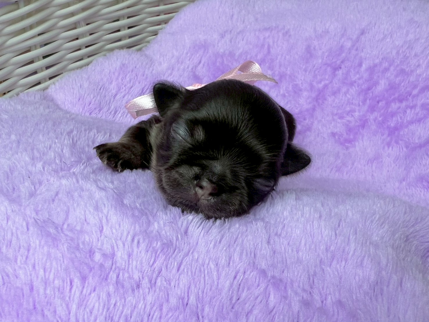 赤ちゃん写真1-1