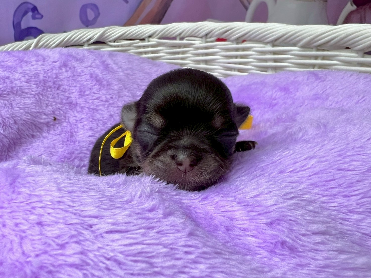 赤ちゃん写真1-1