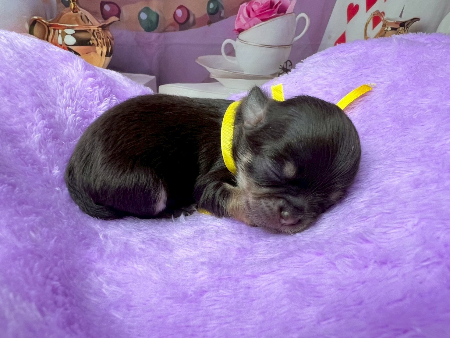 赤ちゃん写真1-2