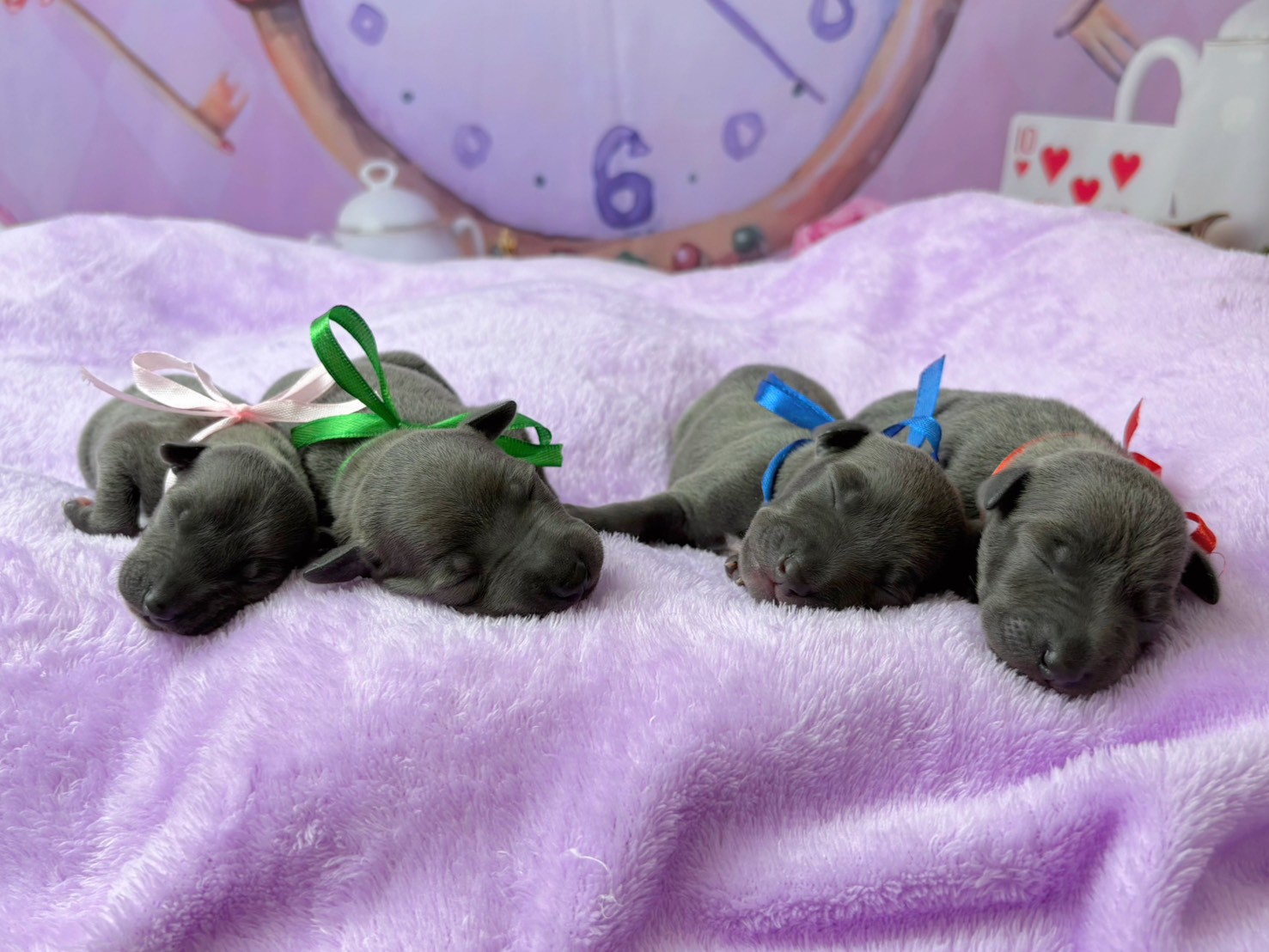 赤ちゃん写真1-3