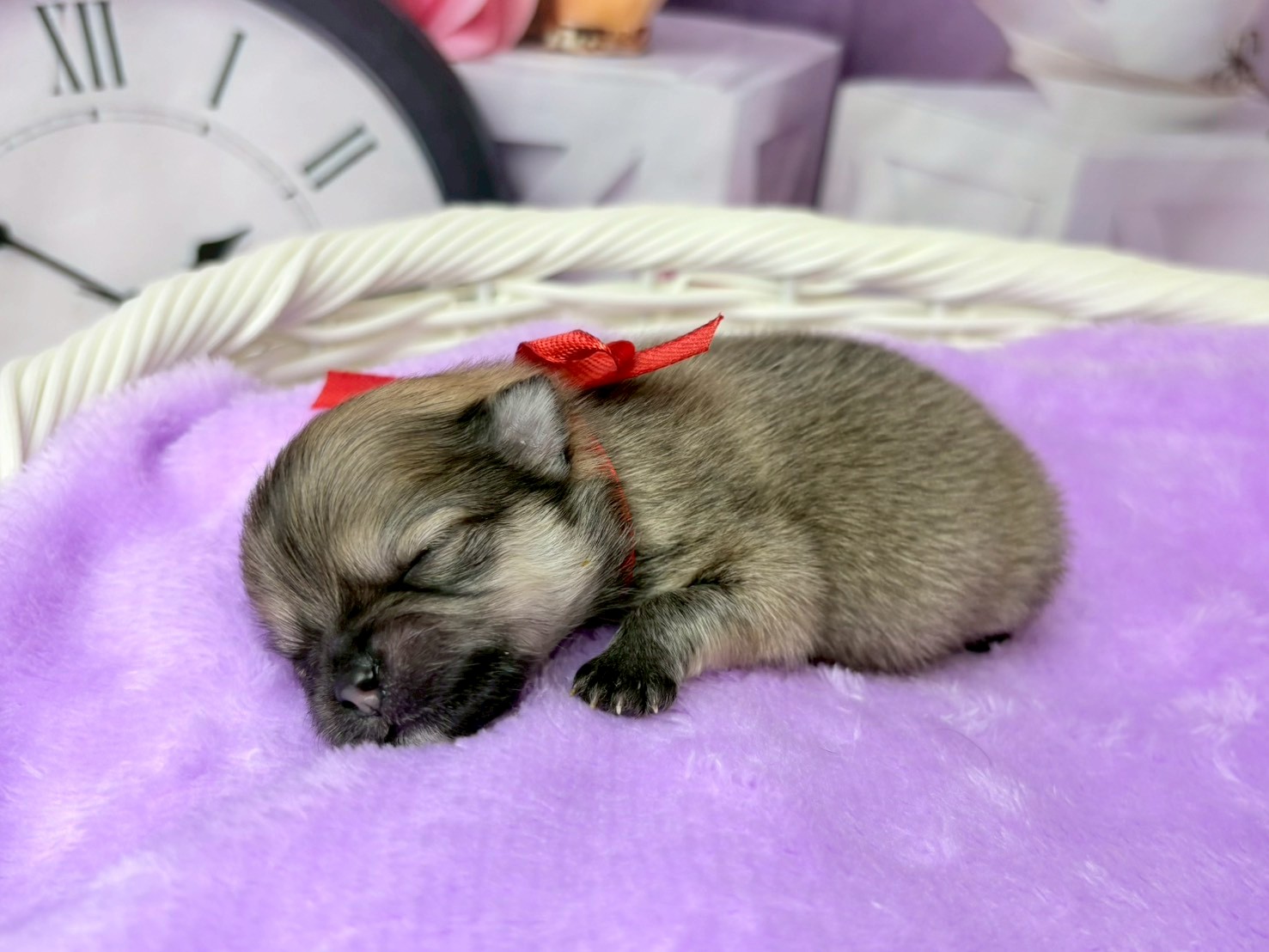 赤ちゃん写真1-2