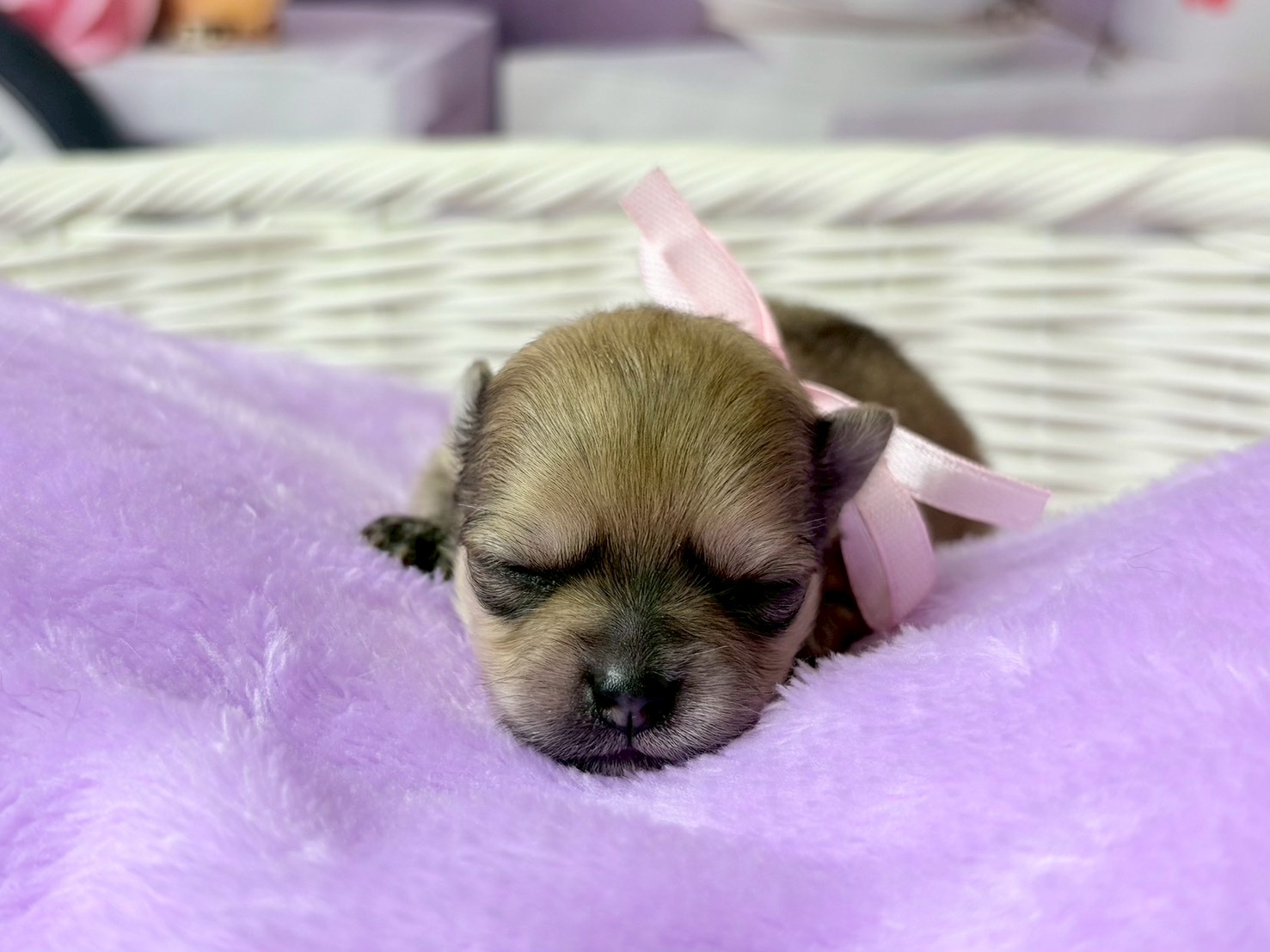 赤ちゃん写真1-1