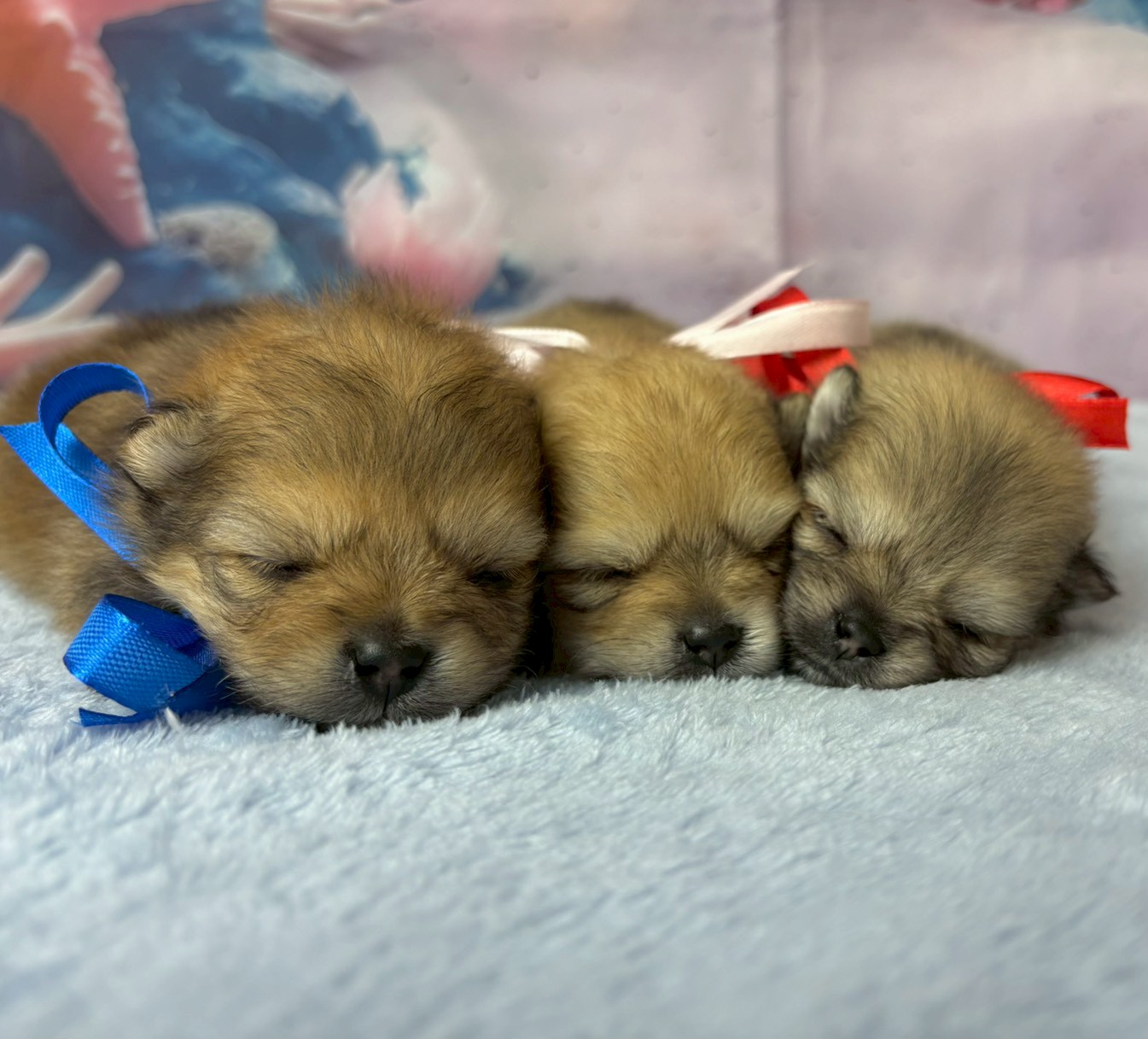赤ちゃん写真2-3