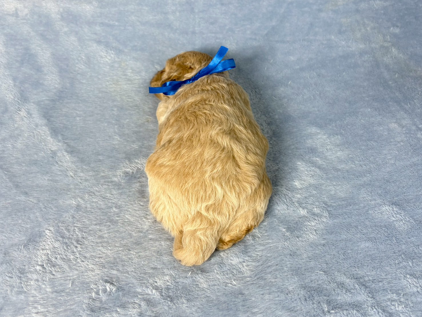 赤ちゃん写真2-3