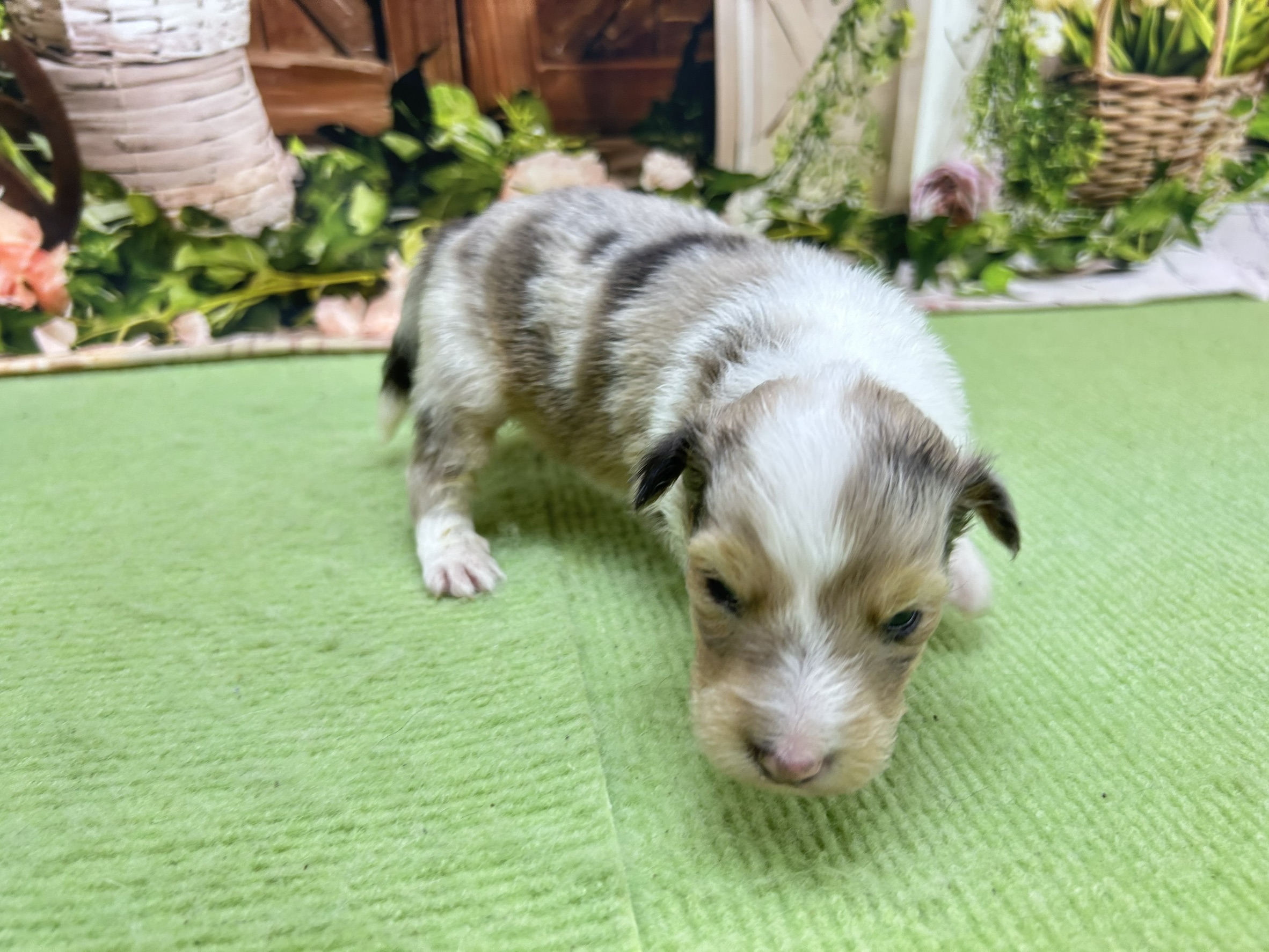 赤ちゃん写真1-3