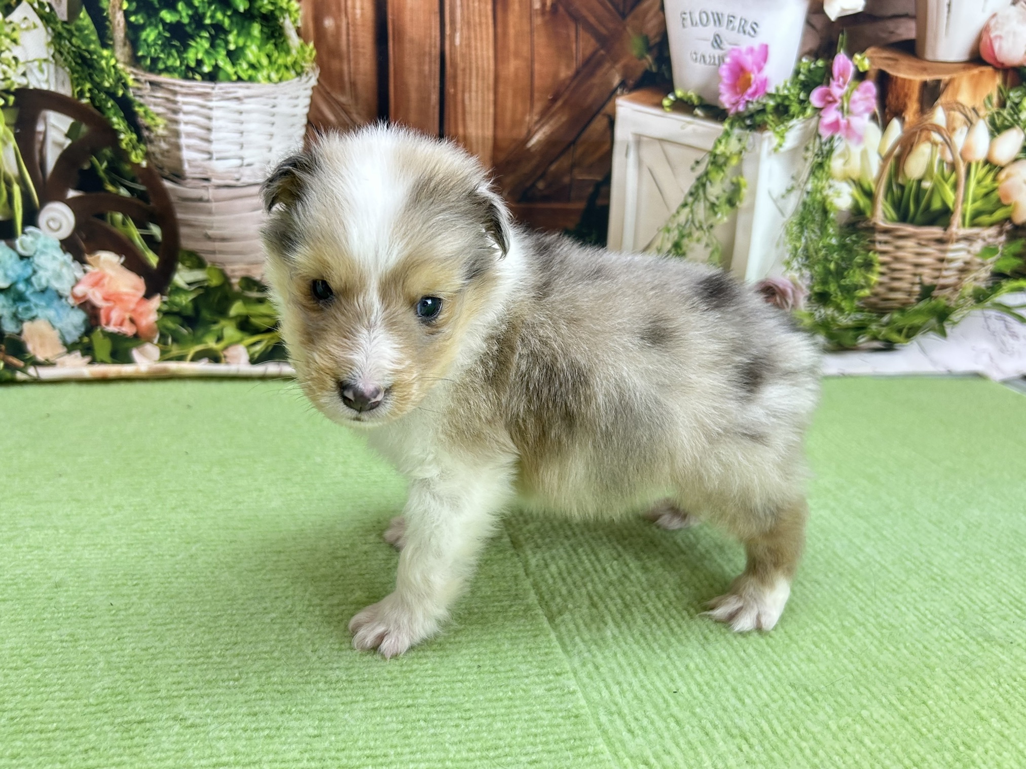赤ちゃん写真2-2