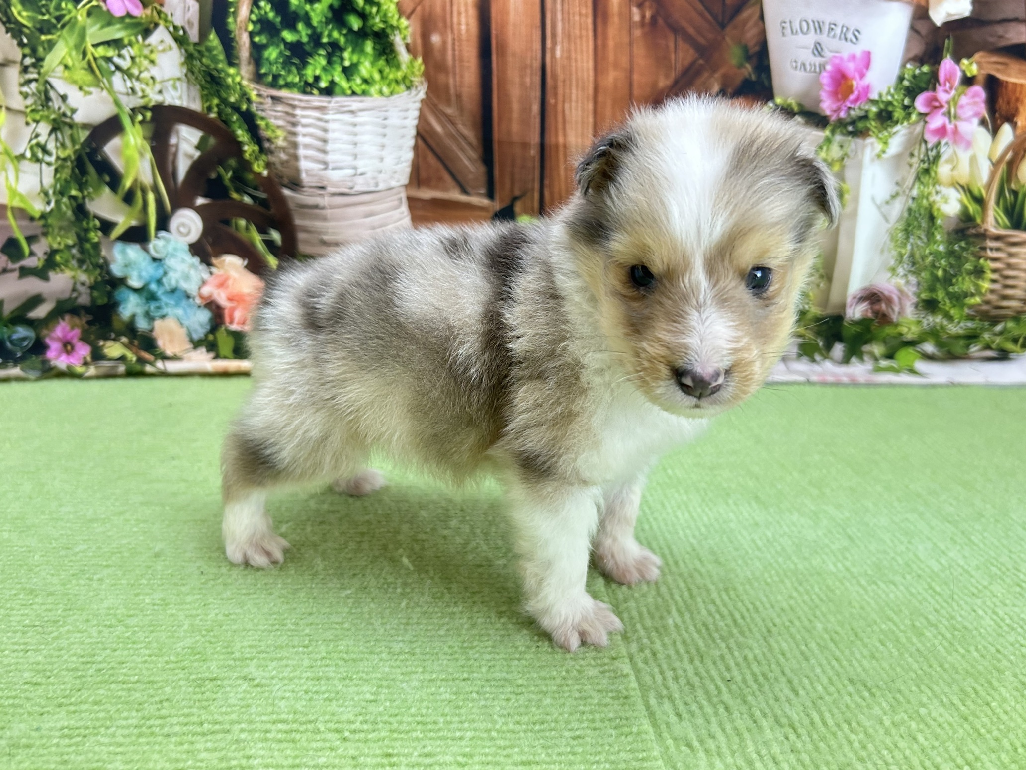 赤ちゃん写真2-3