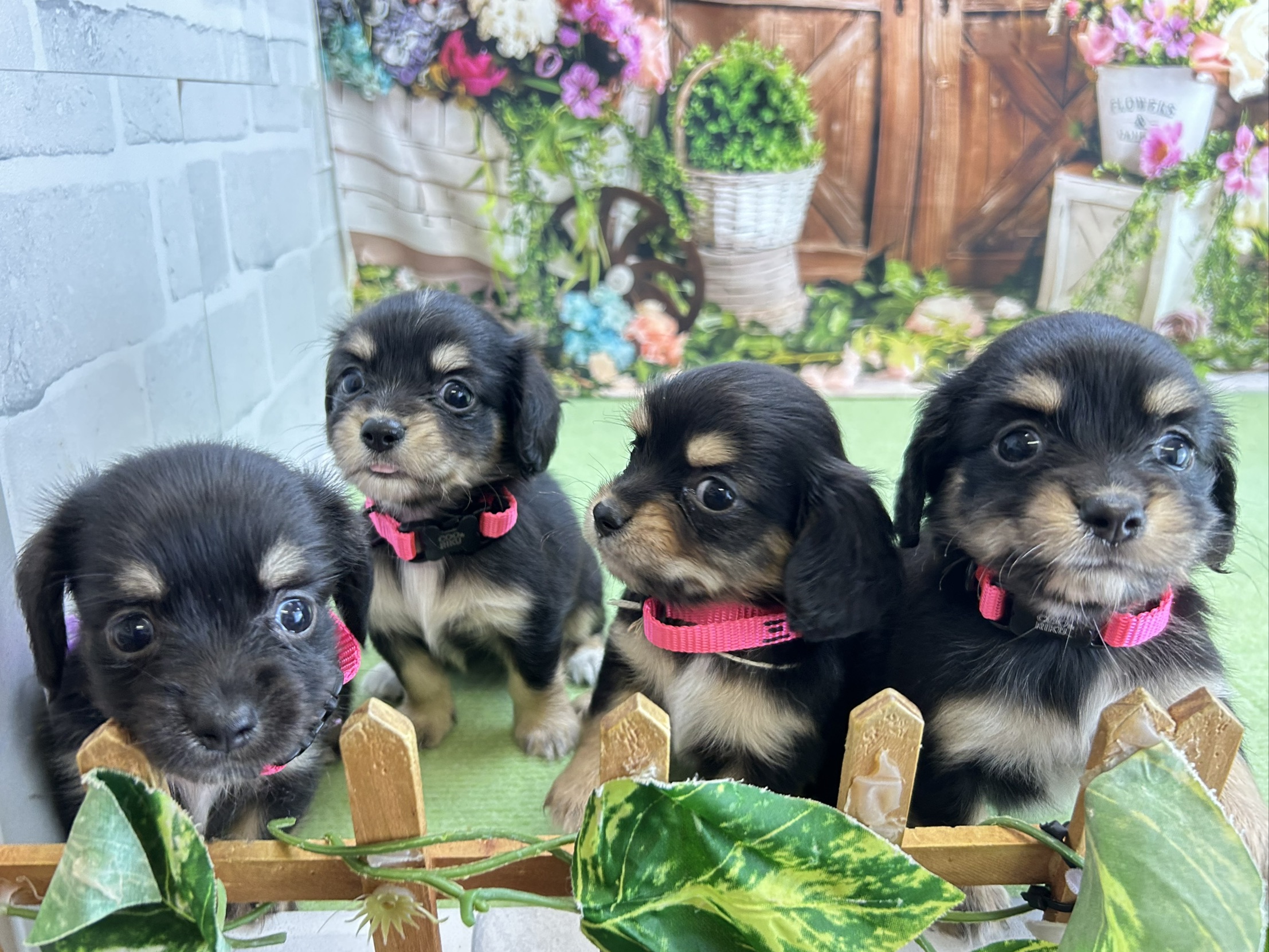 赤ちゃん写真2-3