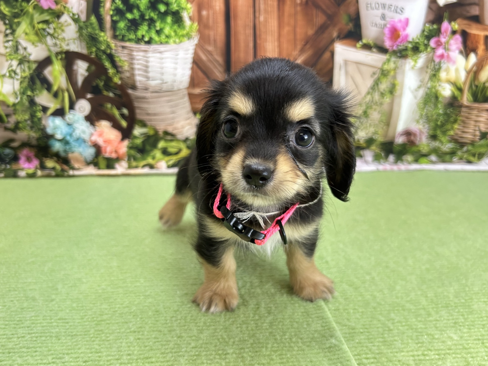 赤ちゃん写真3-1