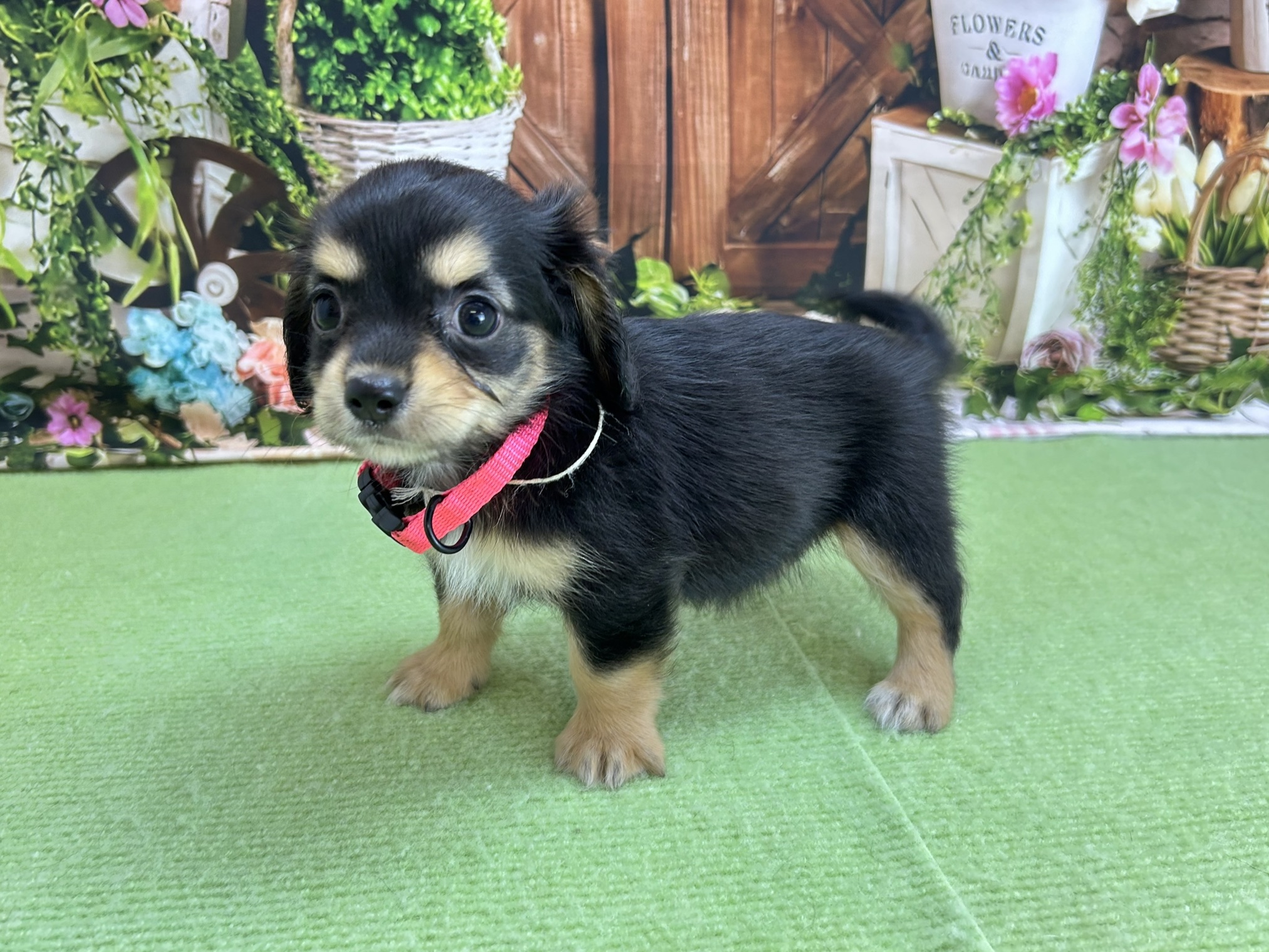 赤ちゃん写真3-2