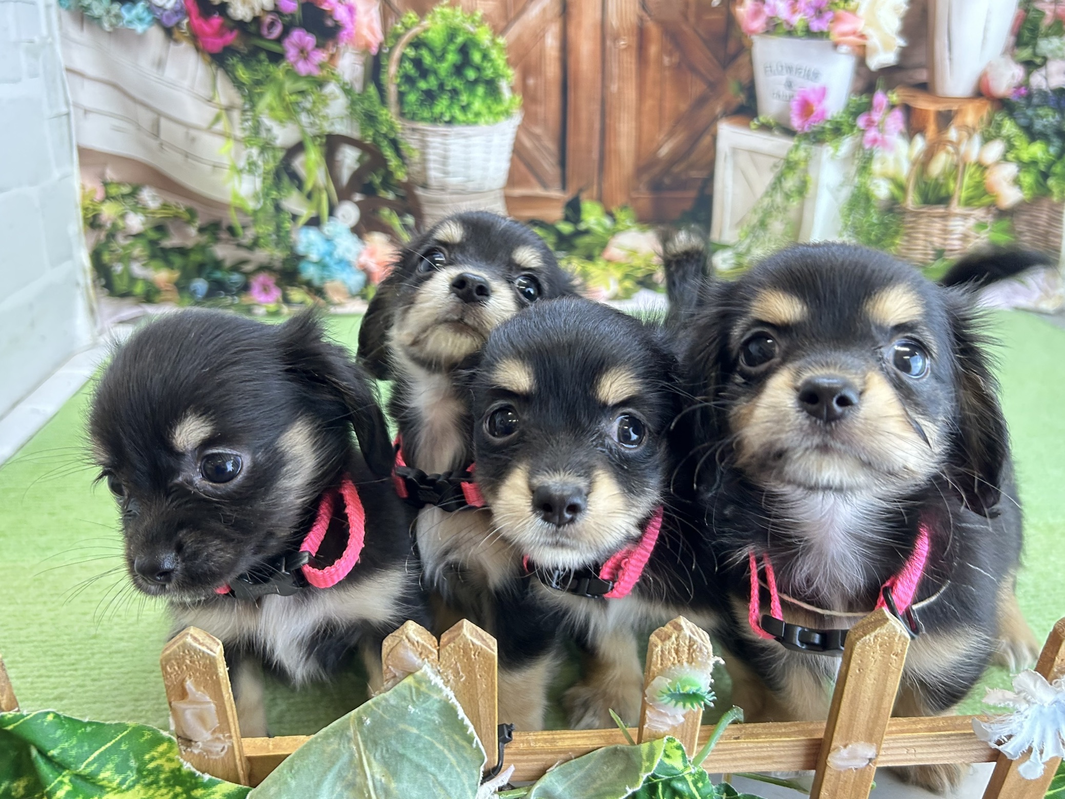 赤ちゃん写真3-3