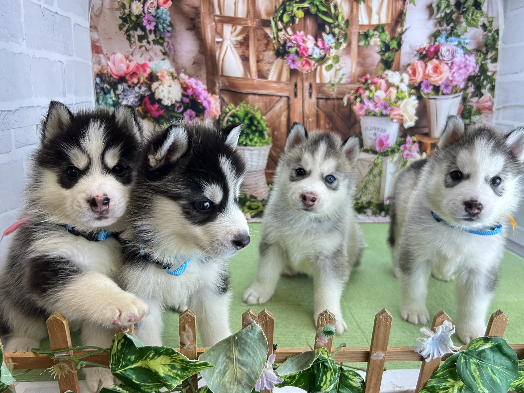 赤ちゃん写真2-3