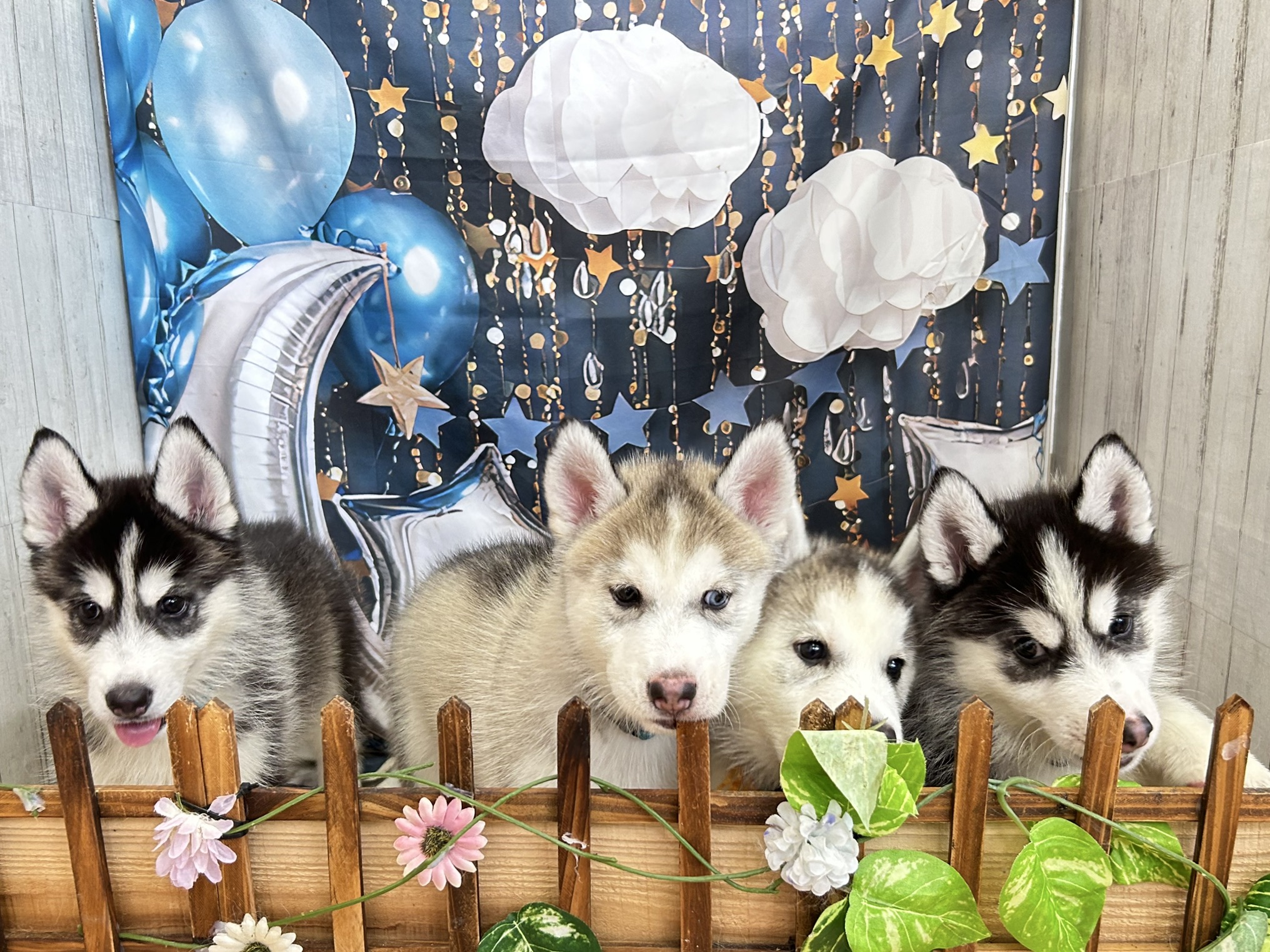 赤ちゃん写真3-3