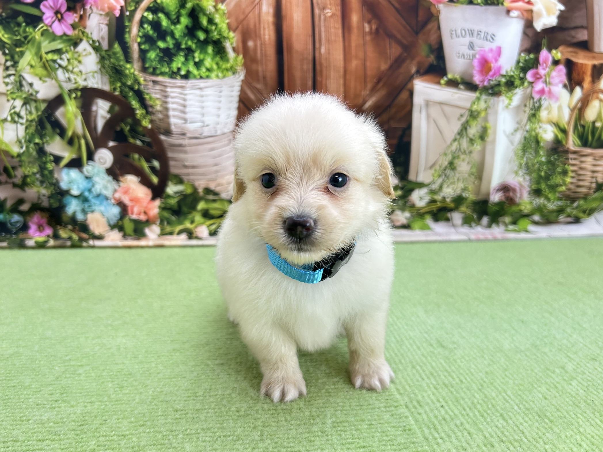 赤ちゃん写真2-1
