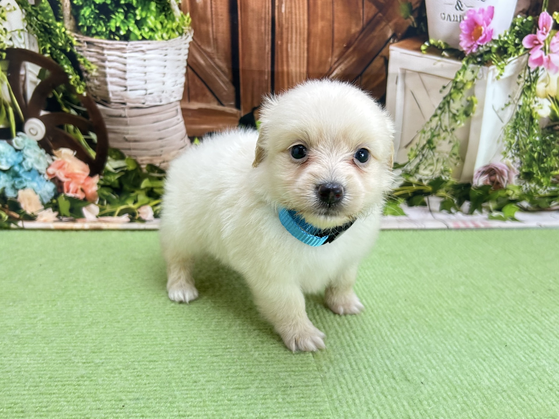 赤ちゃん写真2-2