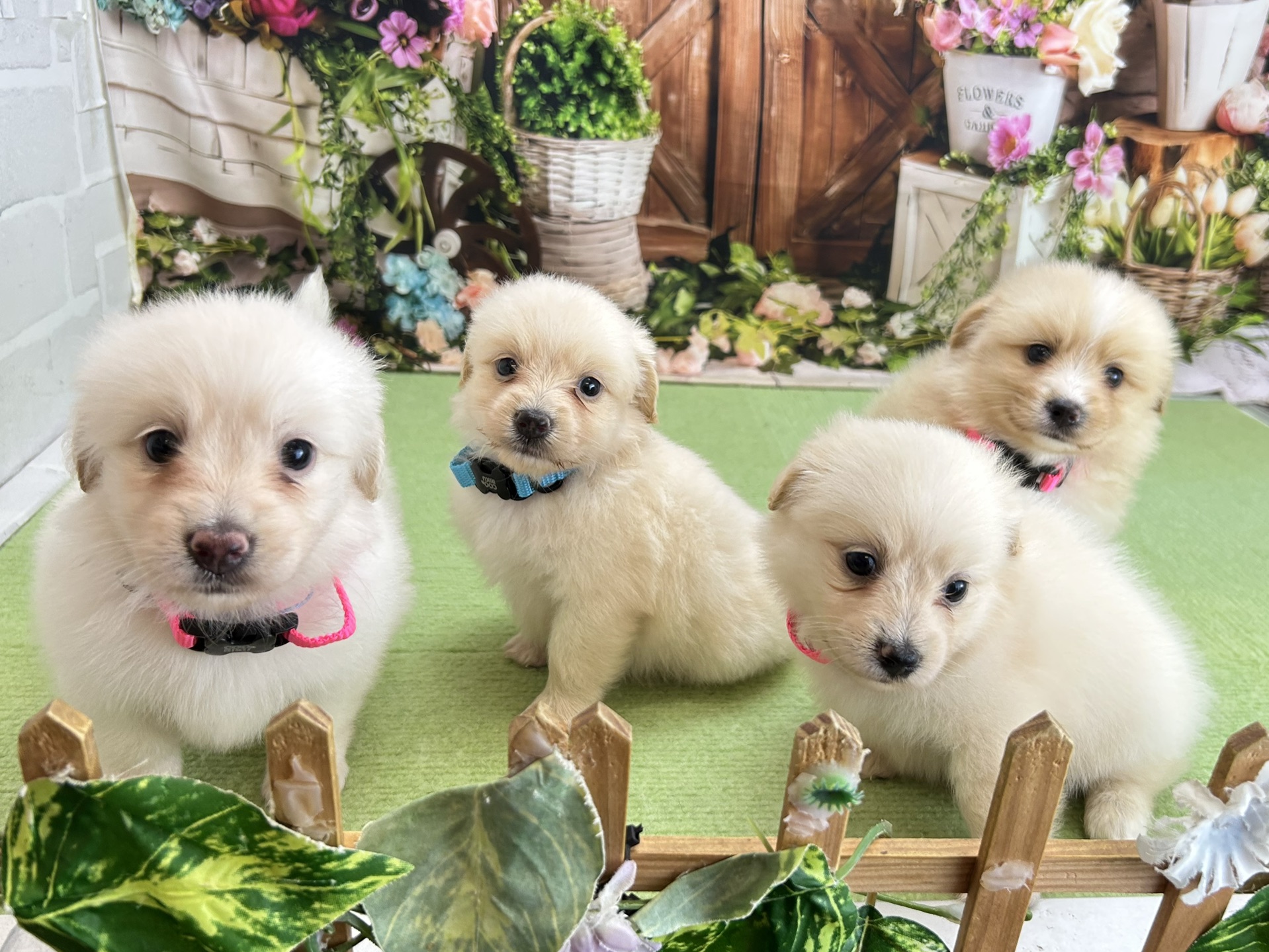 赤ちゃん写真2-3