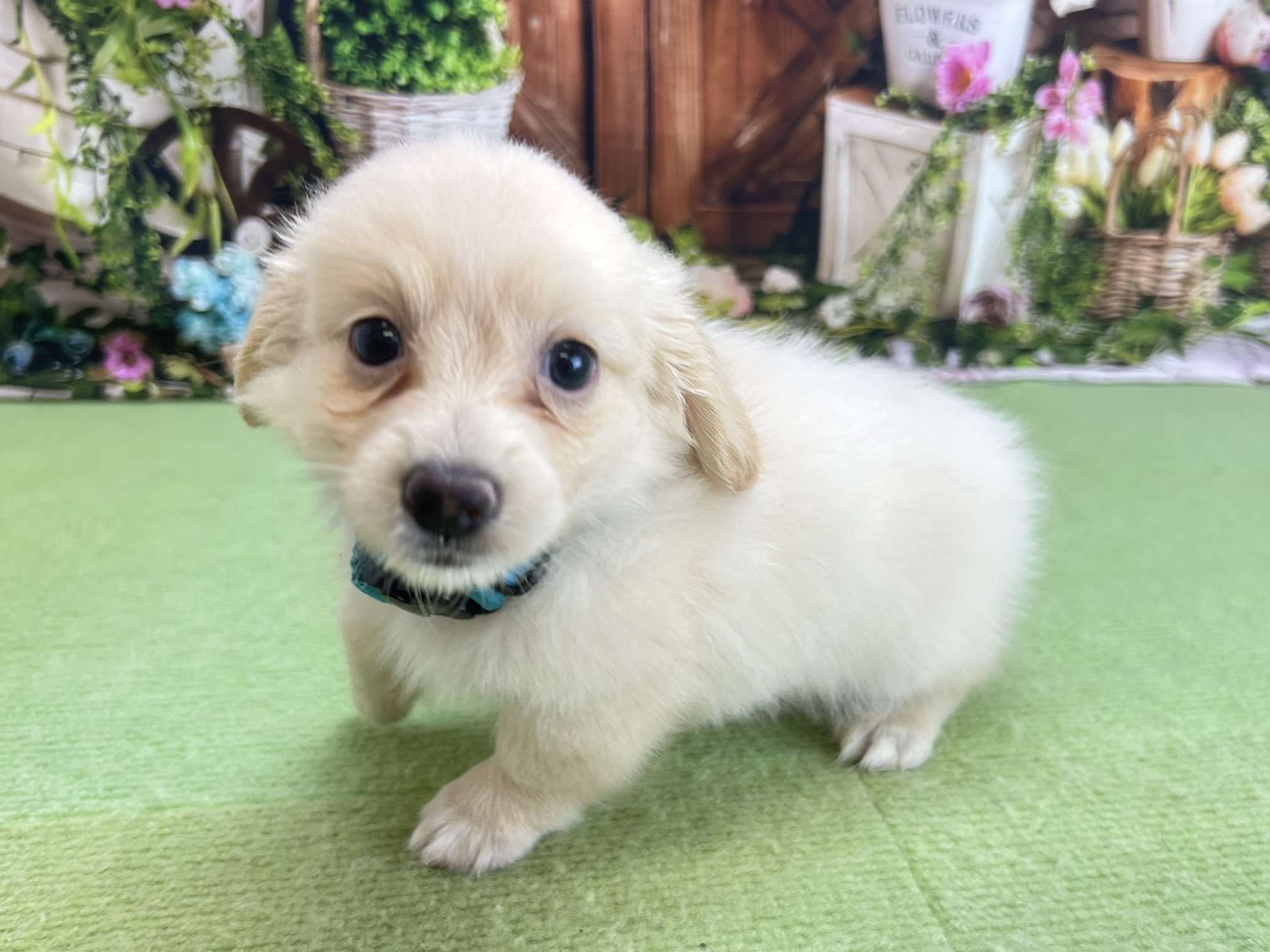 赤ちゃん写真3-2