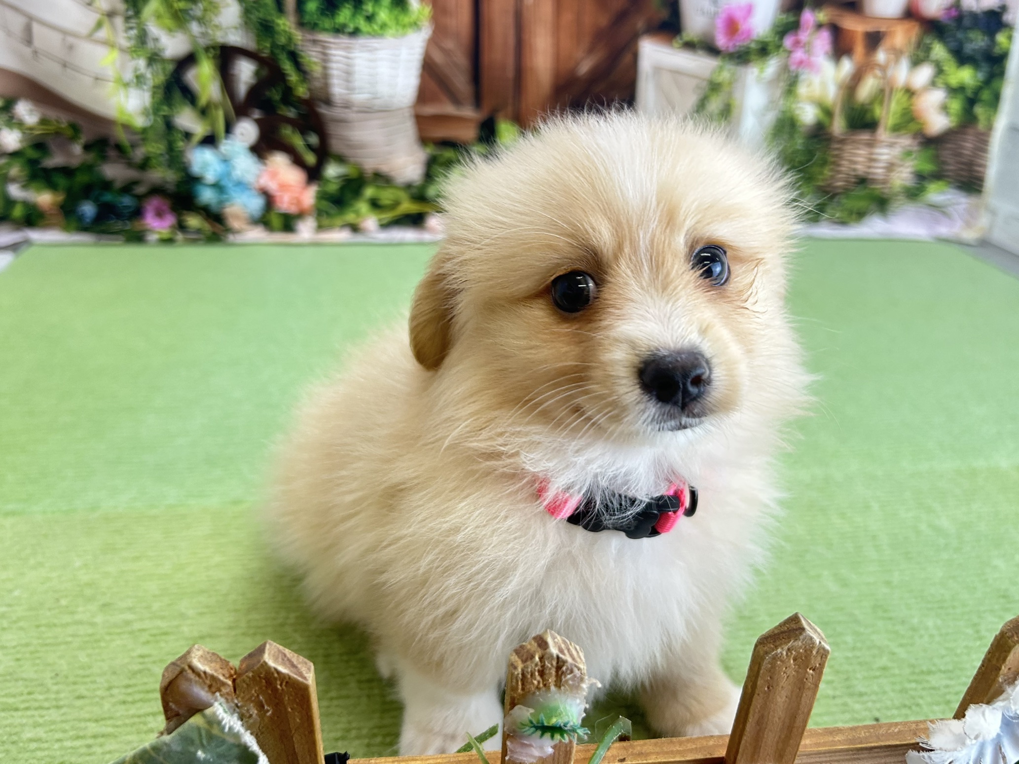 赤ちゃん写真3-1