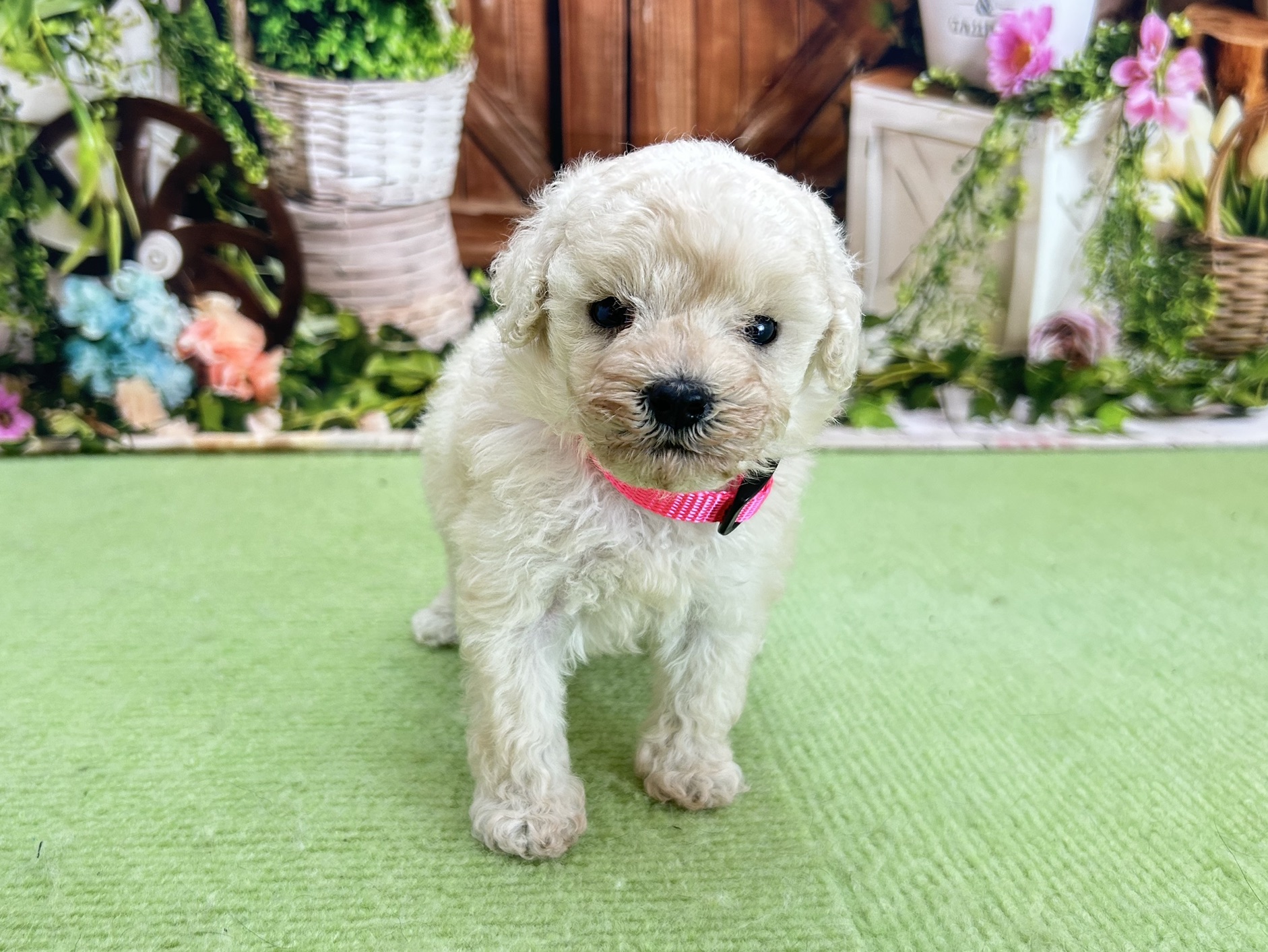 赤ちゃん写真2-1