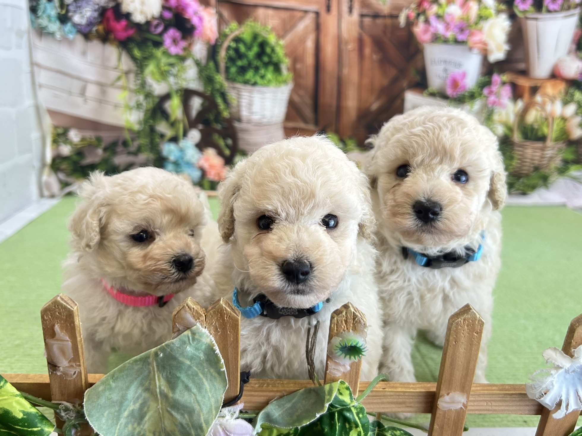 赤ちゃん写真2-3