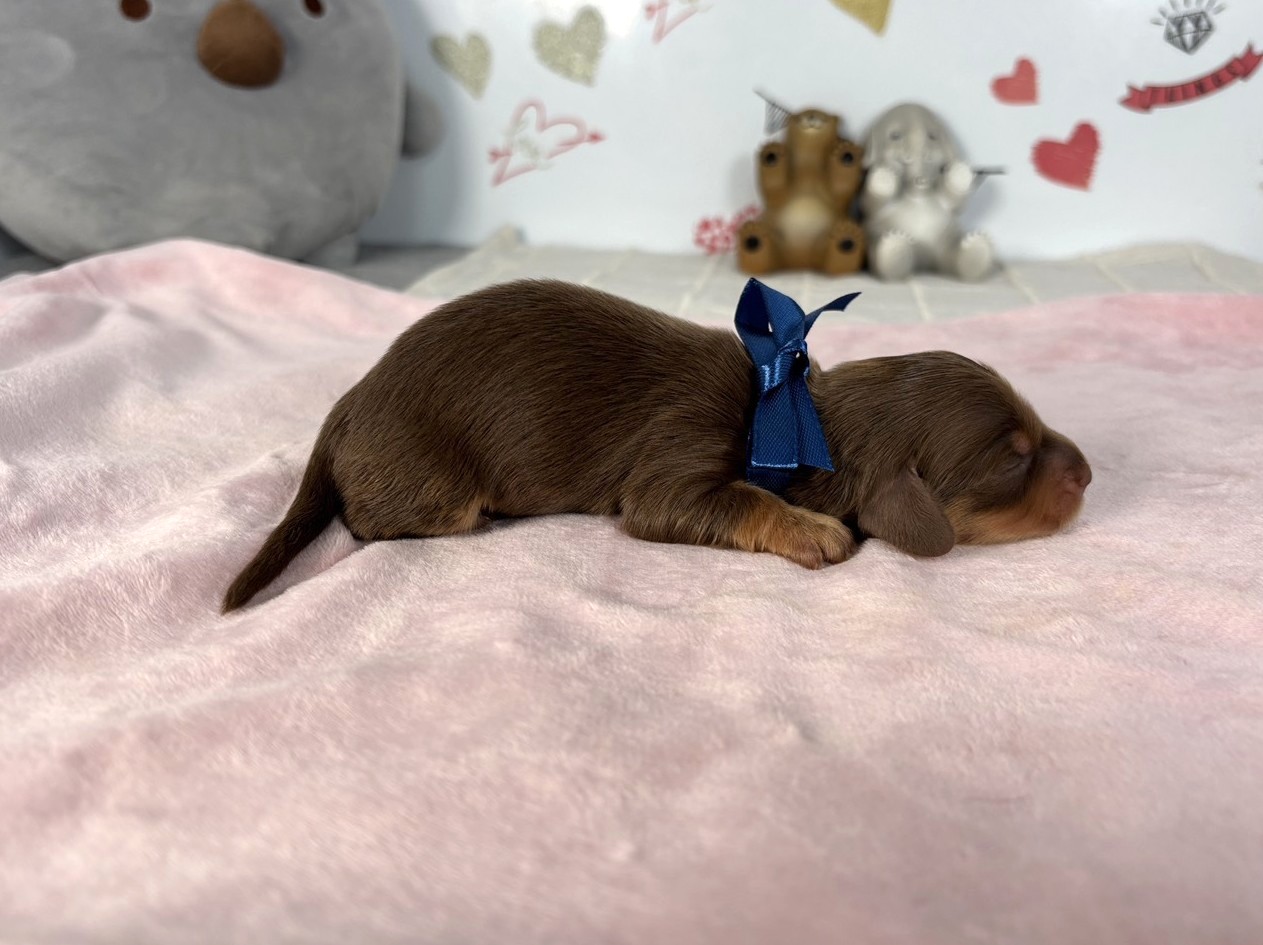 赤ちゃん写真1-2