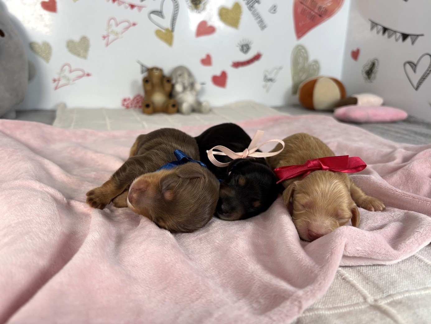 赤ちゃん写真1-3