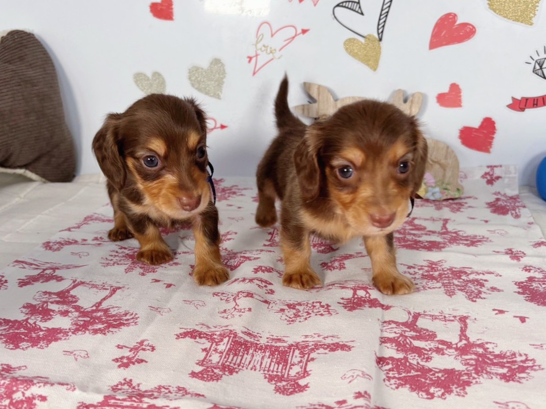 赤ちゃん写真2-3