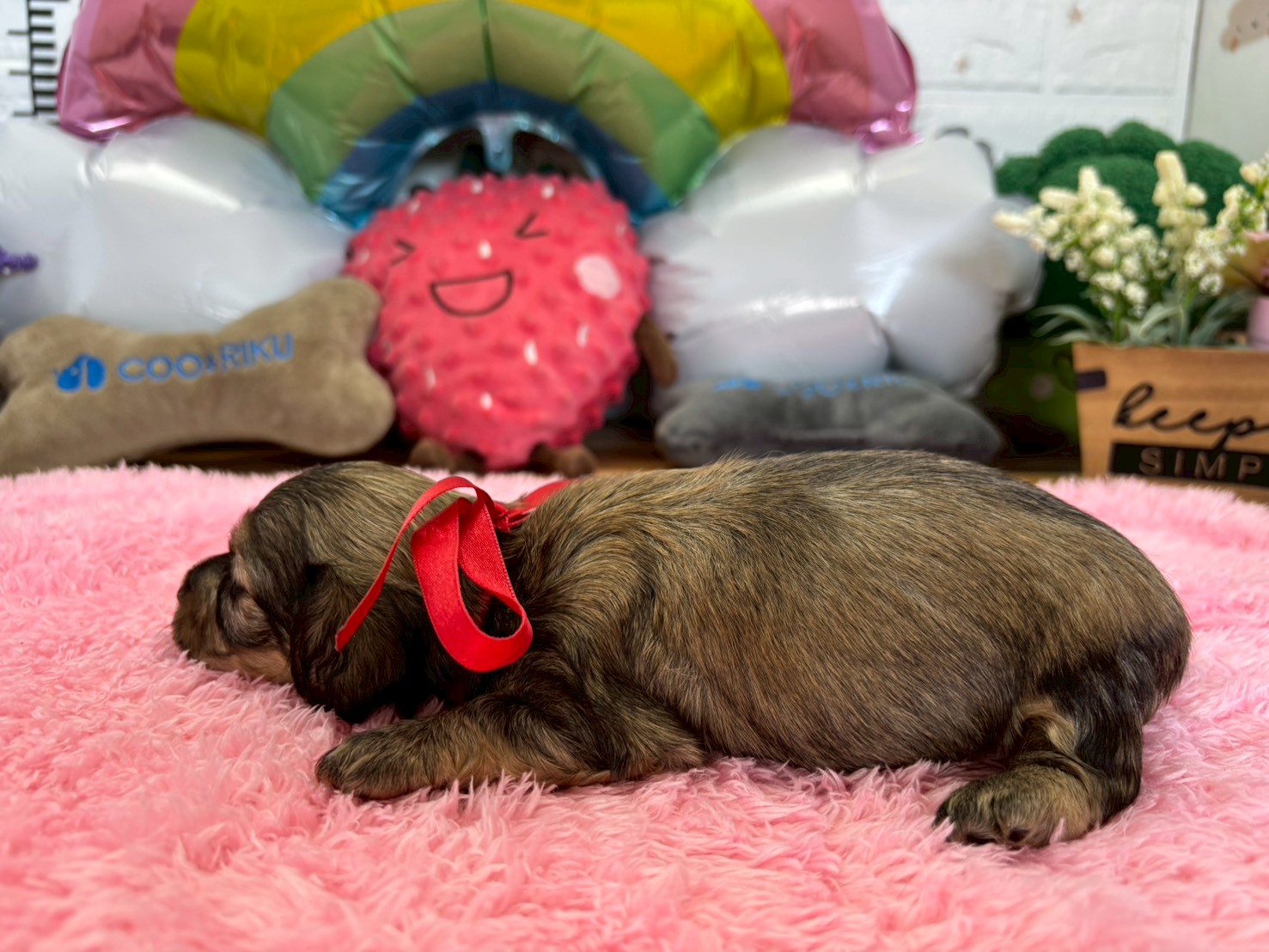 赤ちゃん写真2-2