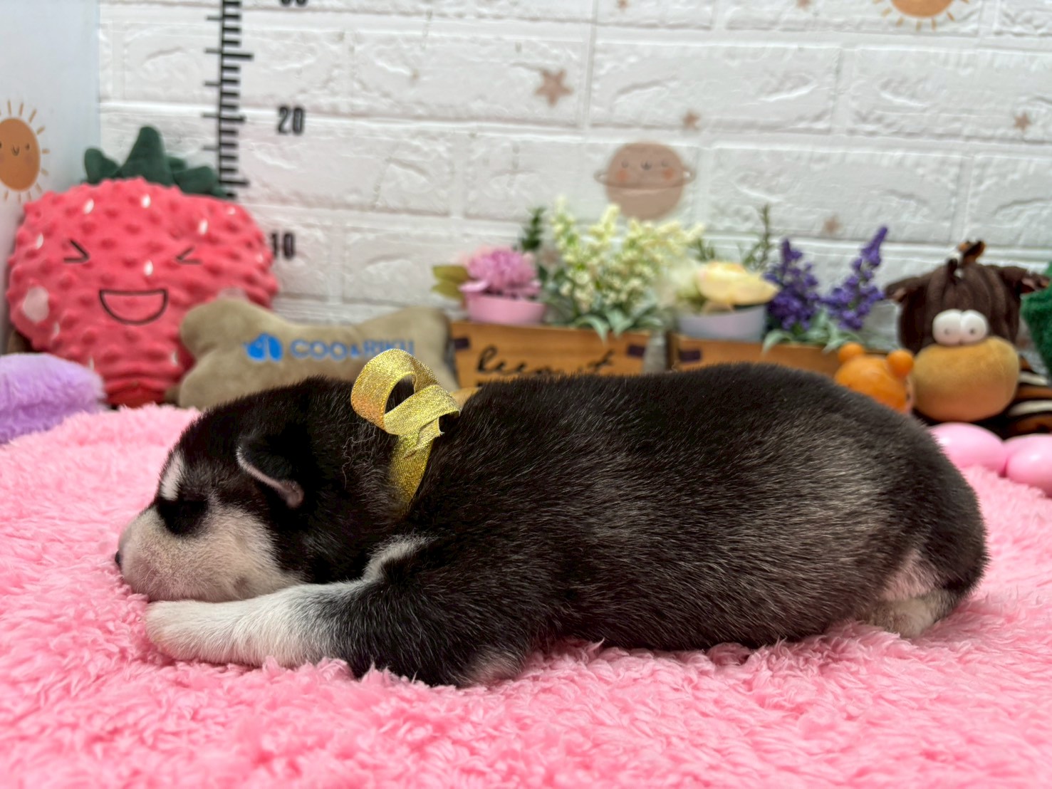 赤ちゃん写真1-2