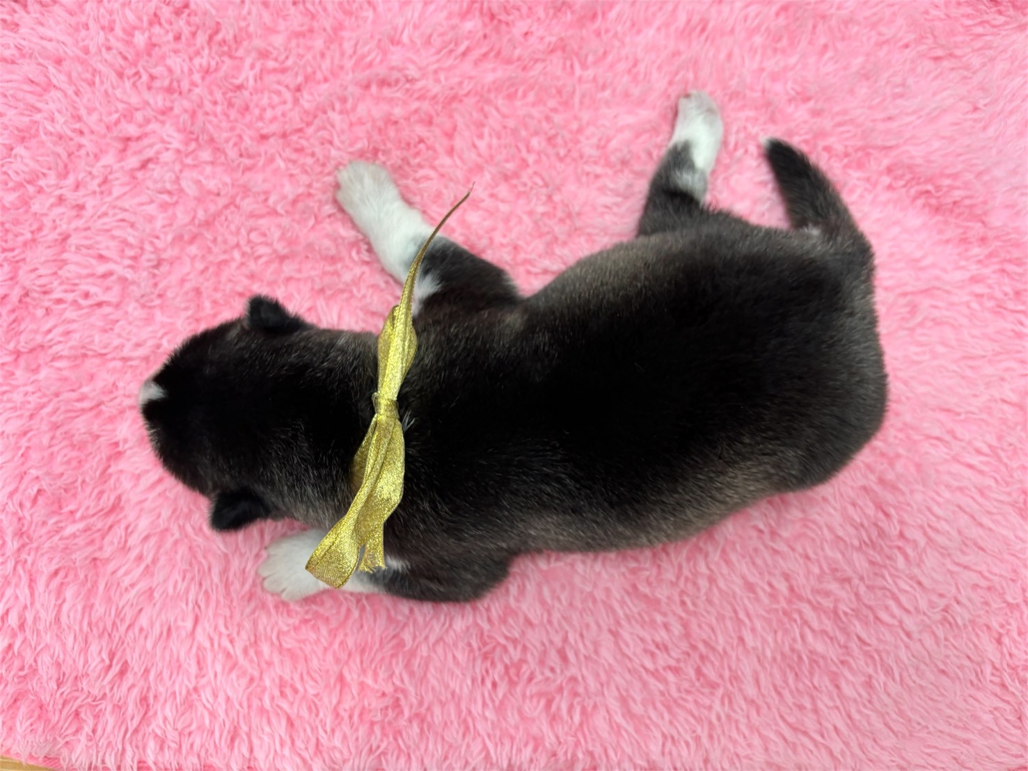赤ちゃん写真1-3