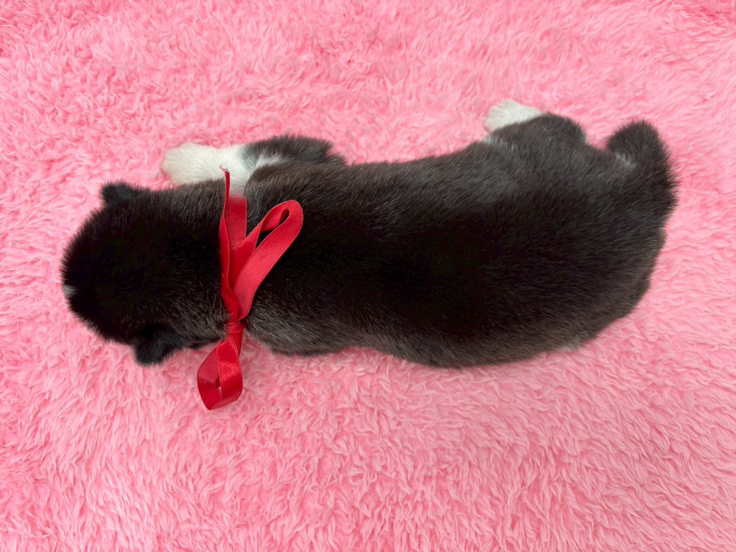 赤ちゃん写真1-3