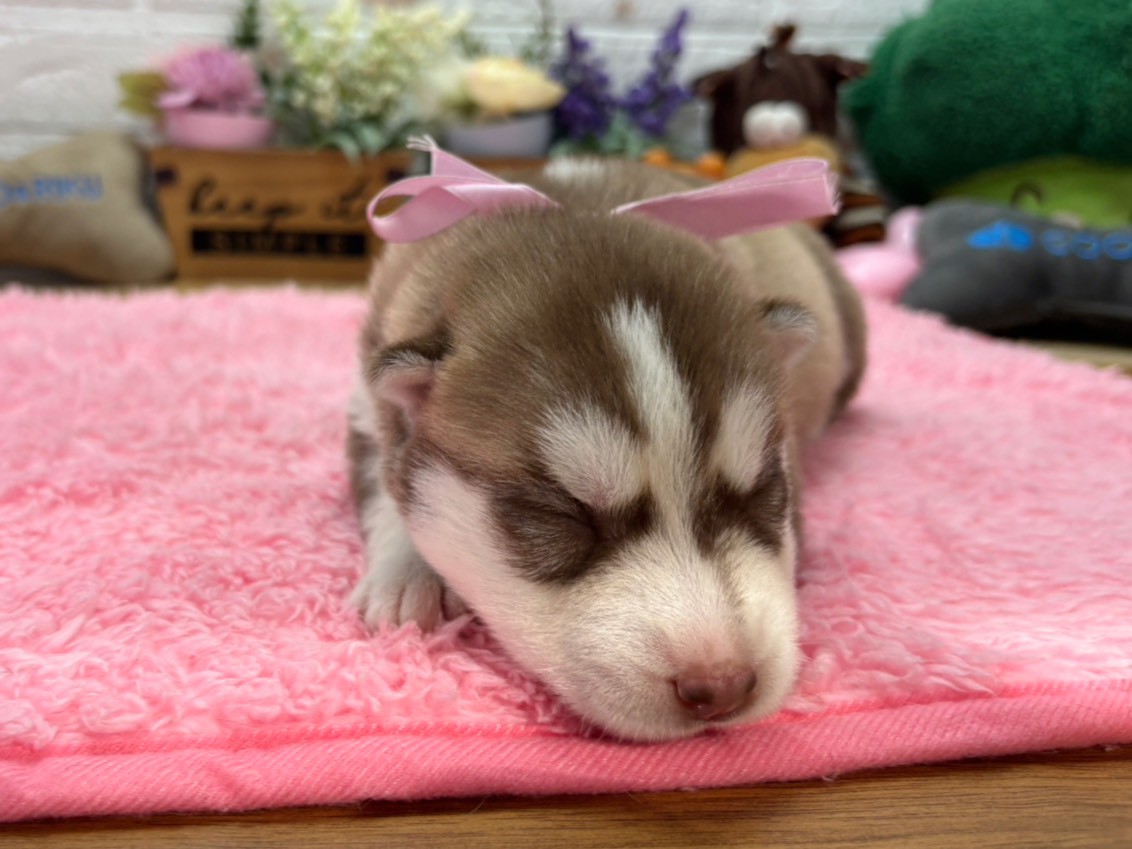 赤ちゃん写真1-1