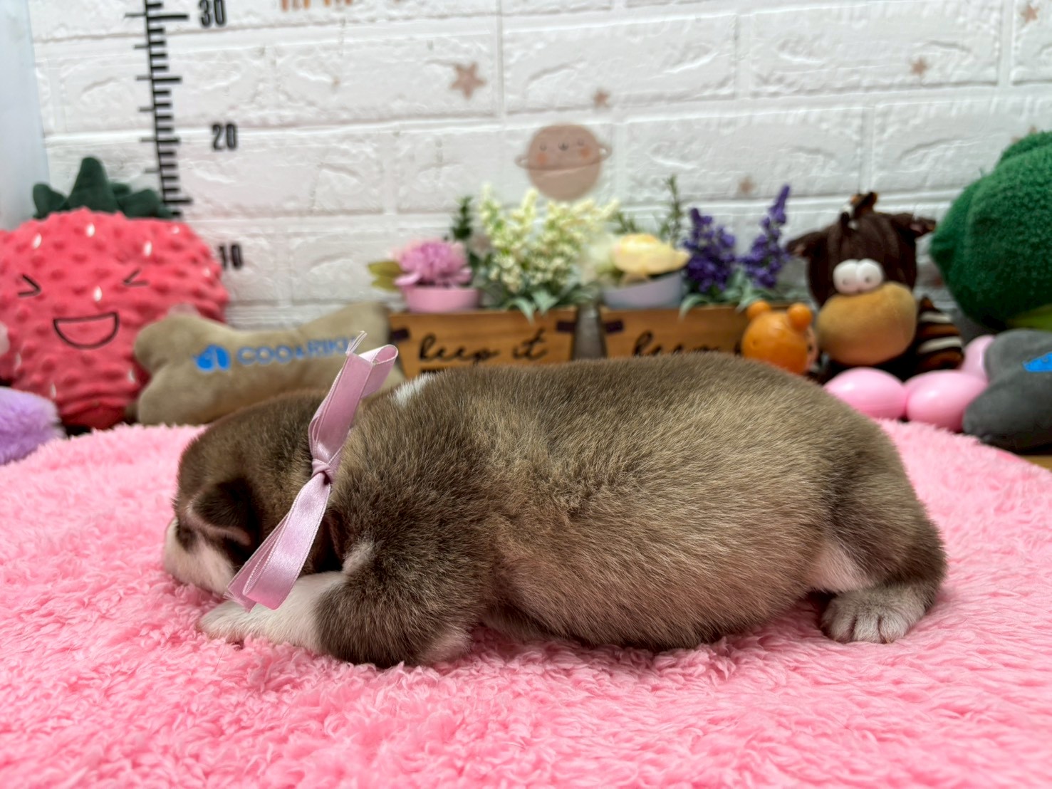 赤ちゃん写真1-2