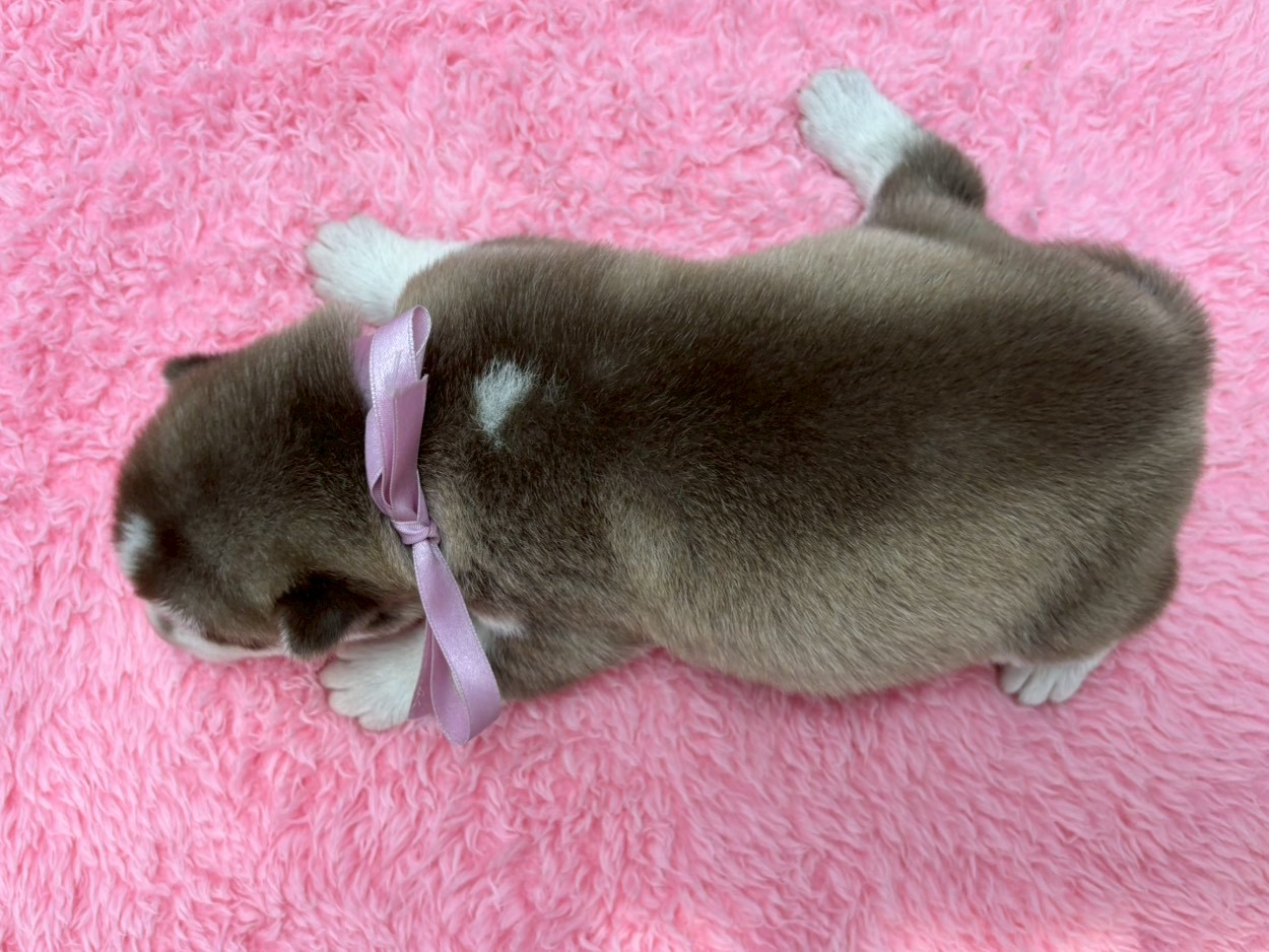 赤ちゃん写真1-3