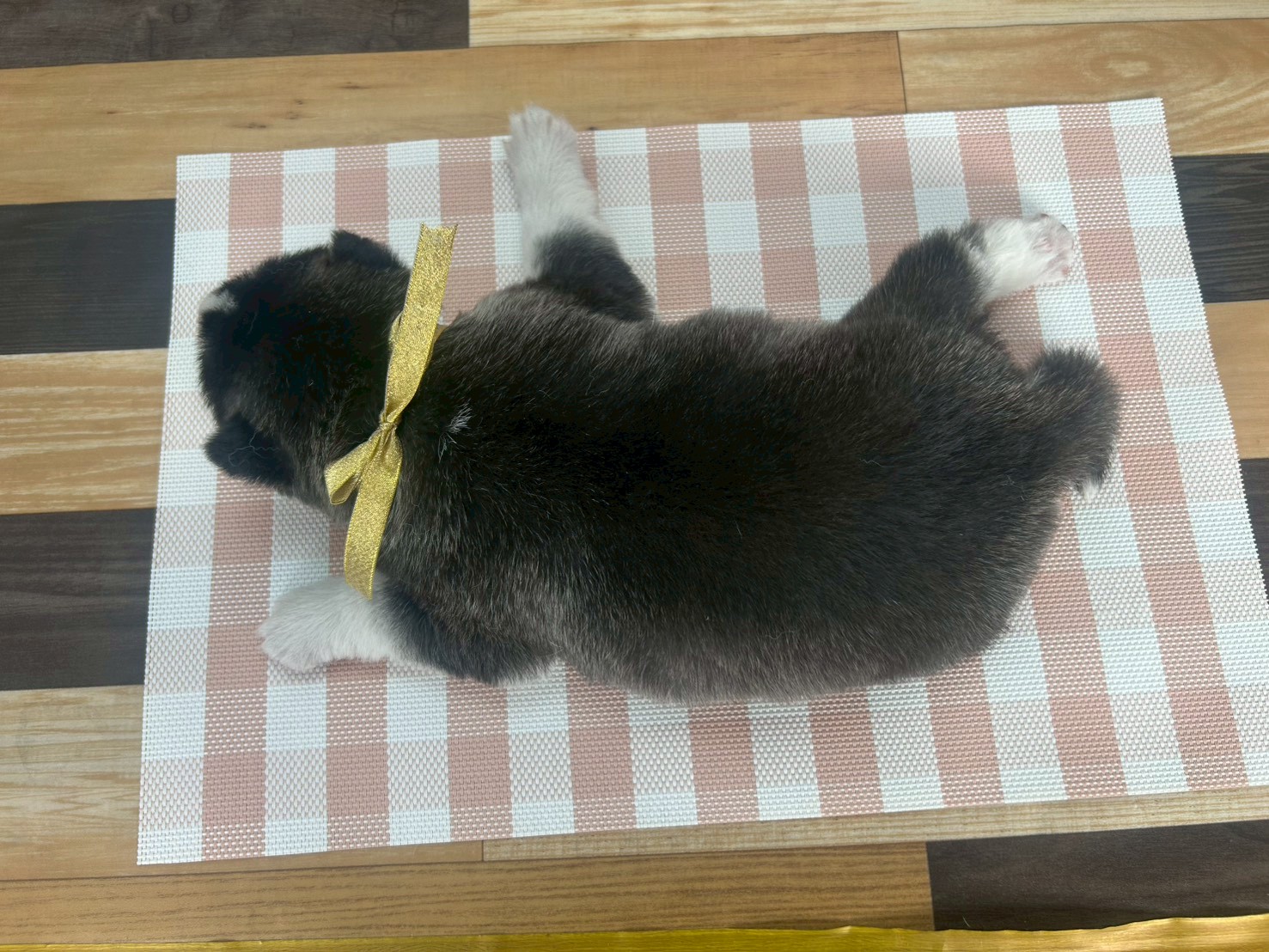赤ちゃん写真2-3