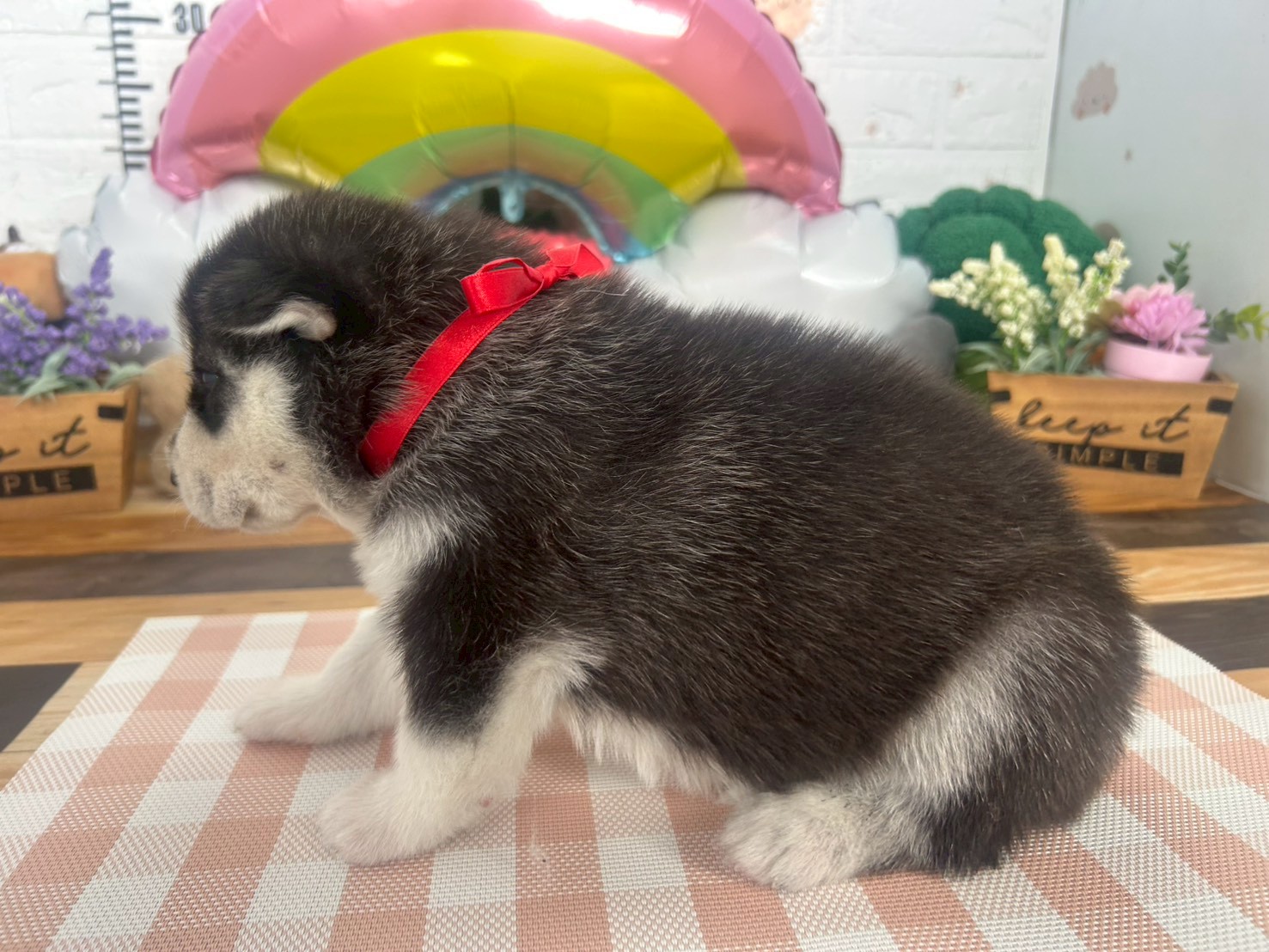 赤ちゃん写真2-2