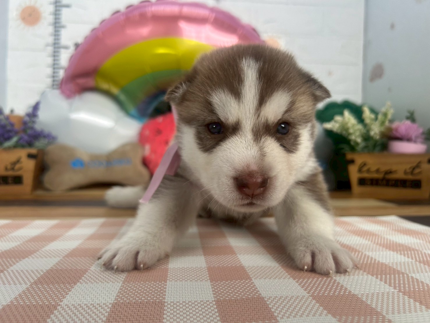 赤ちゃん写真2-1