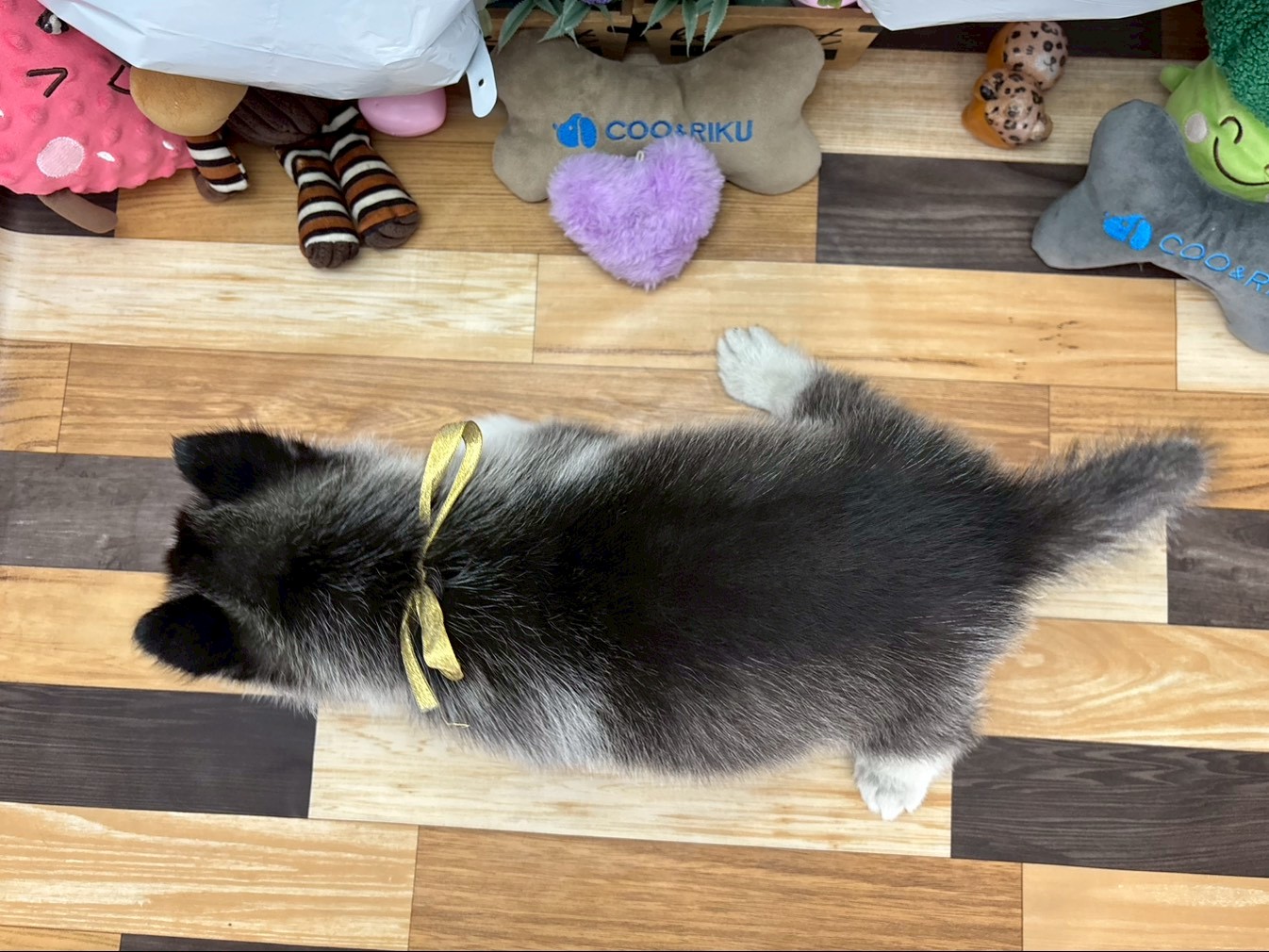 赤ちゃん写真3-3