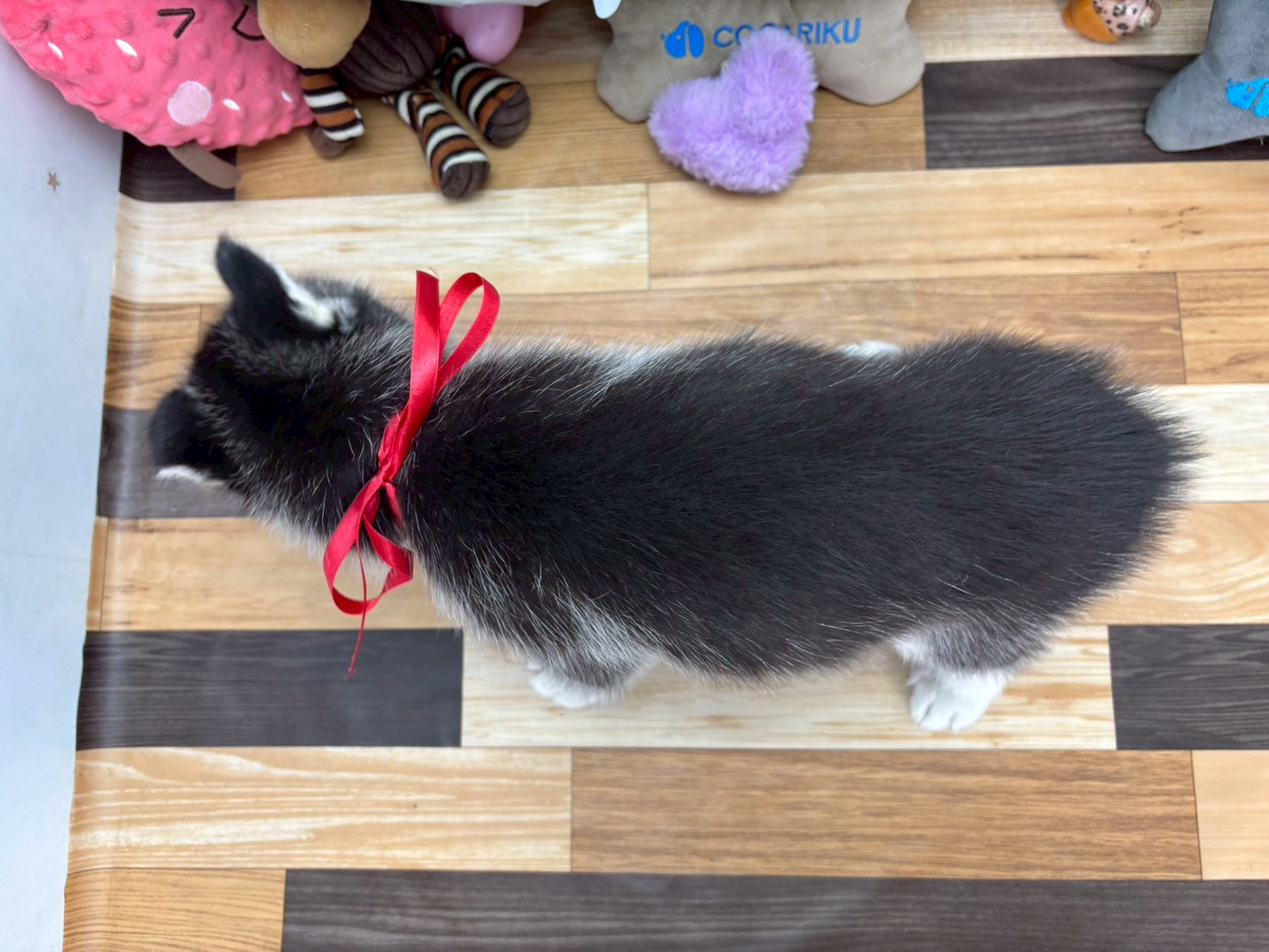 赤ちゃん写真3-3