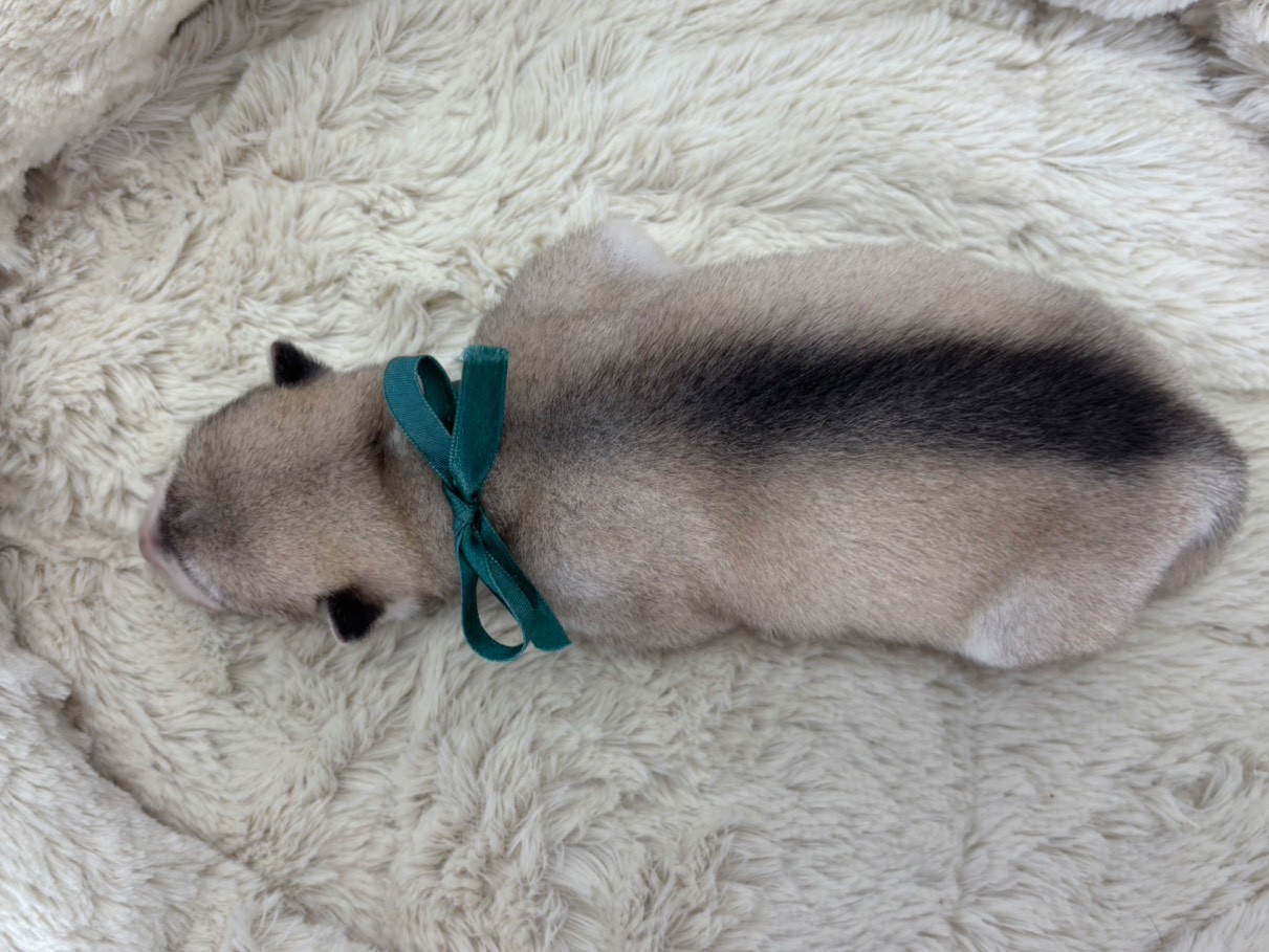 赤ちゃん写真1-3