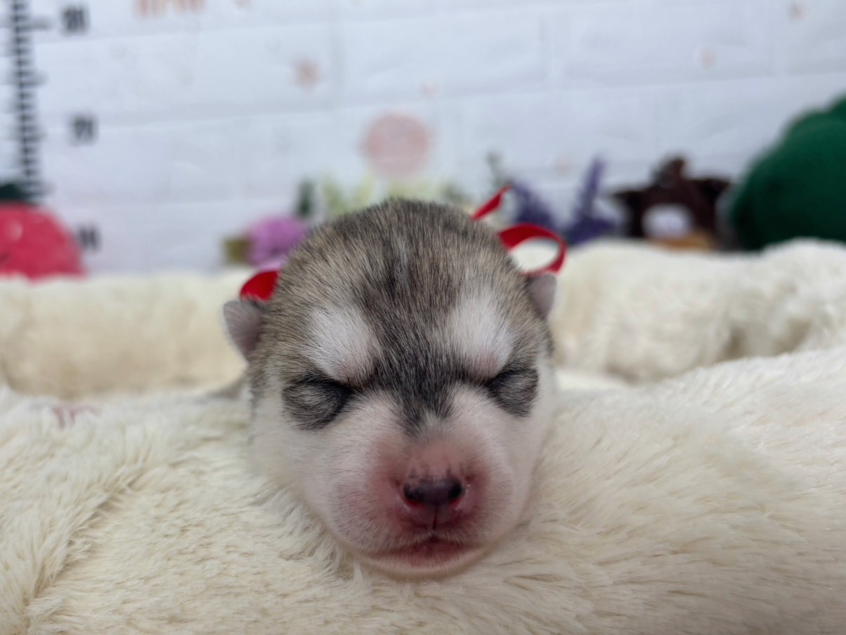 赤ちゃん写真1-1