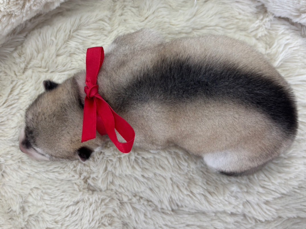 赤ちゃん写真1-3