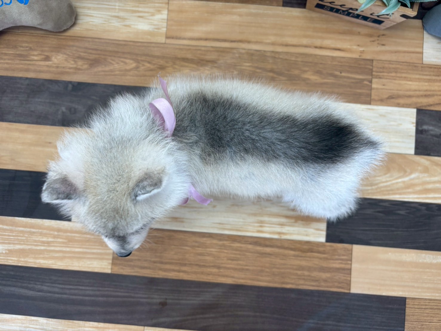 赤ちゃん写真2-3