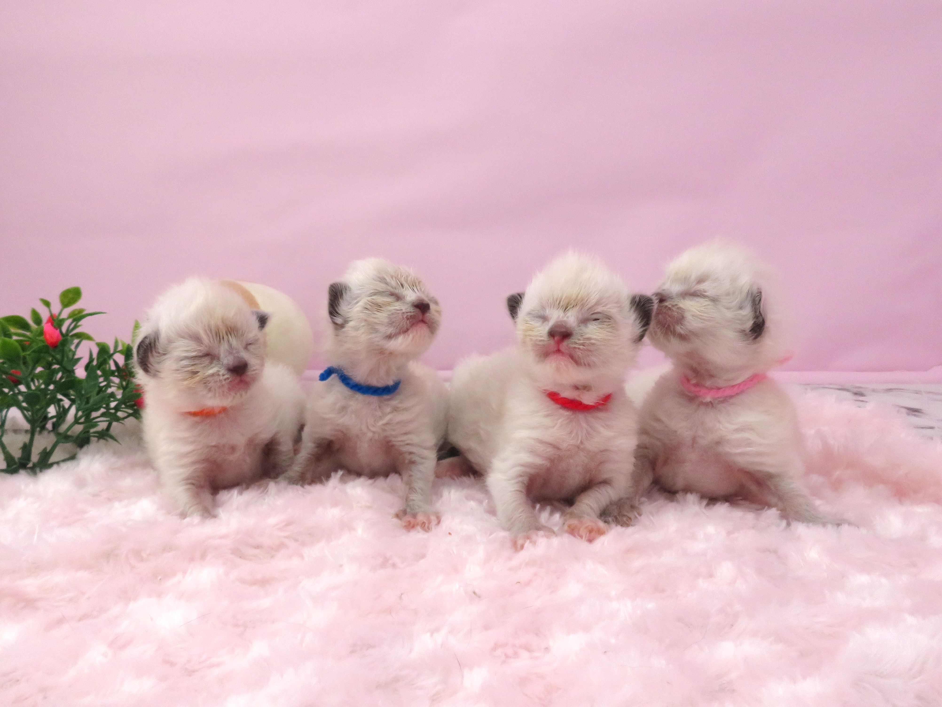 赤ちゃん写真1-3