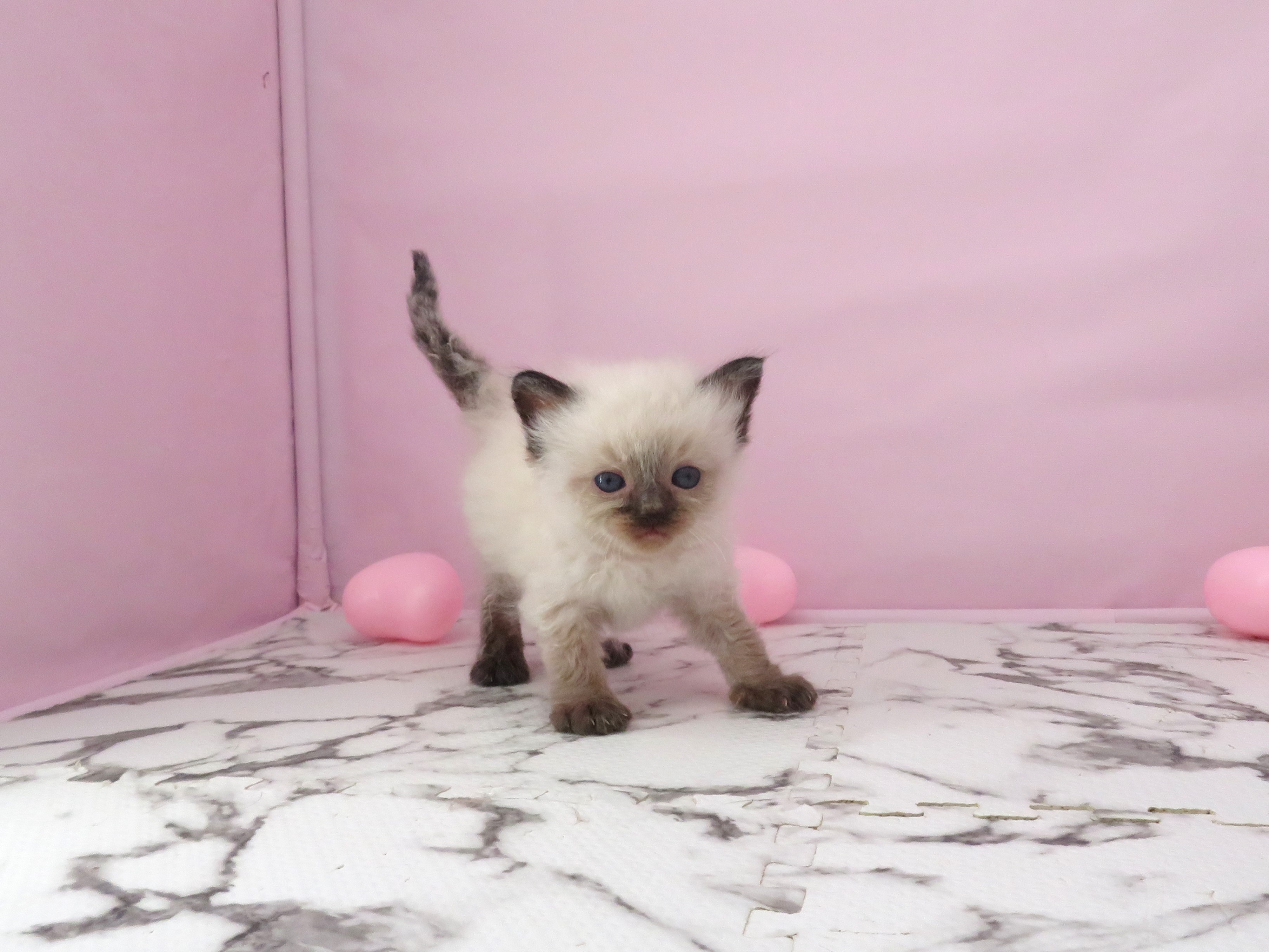 赤ちゃん写真2-1