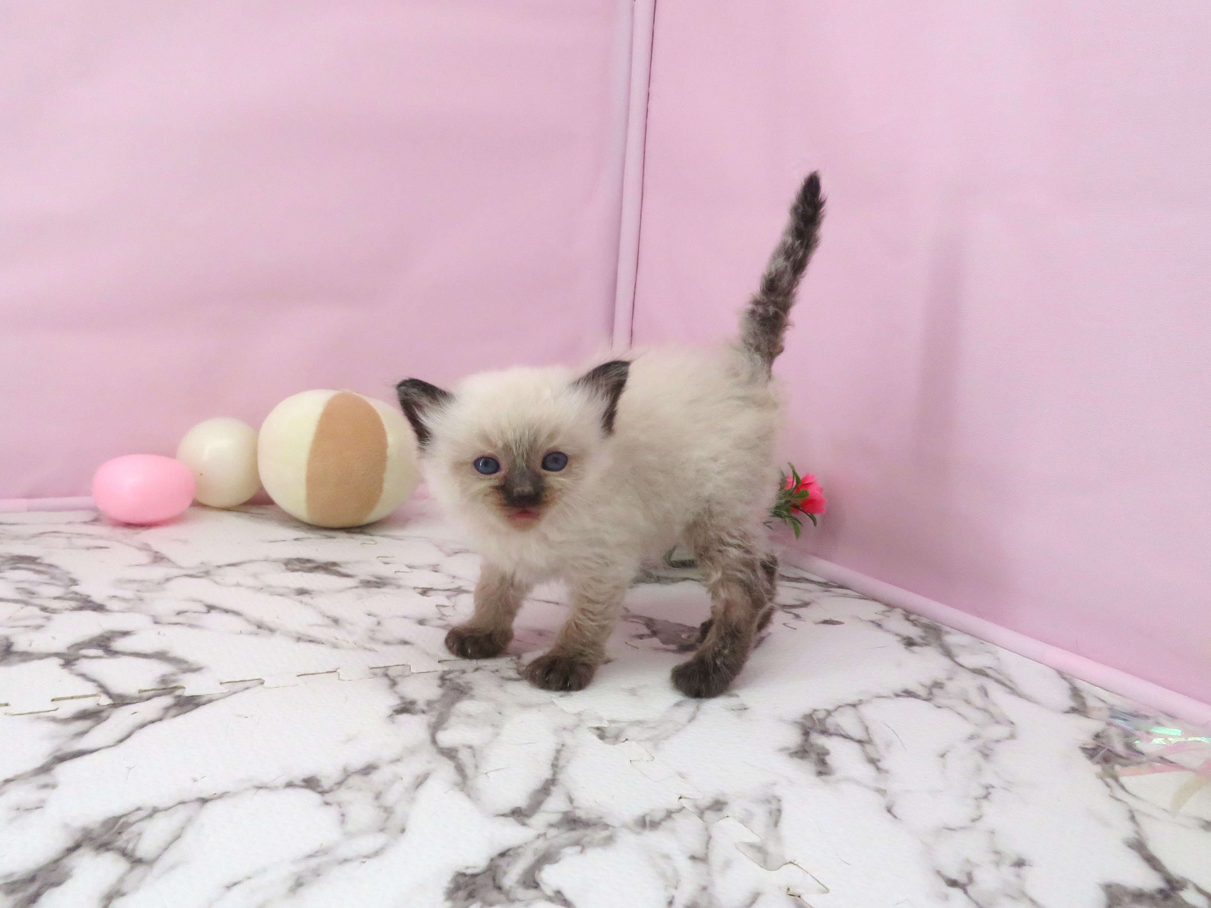 赤ちゃん写真2-2