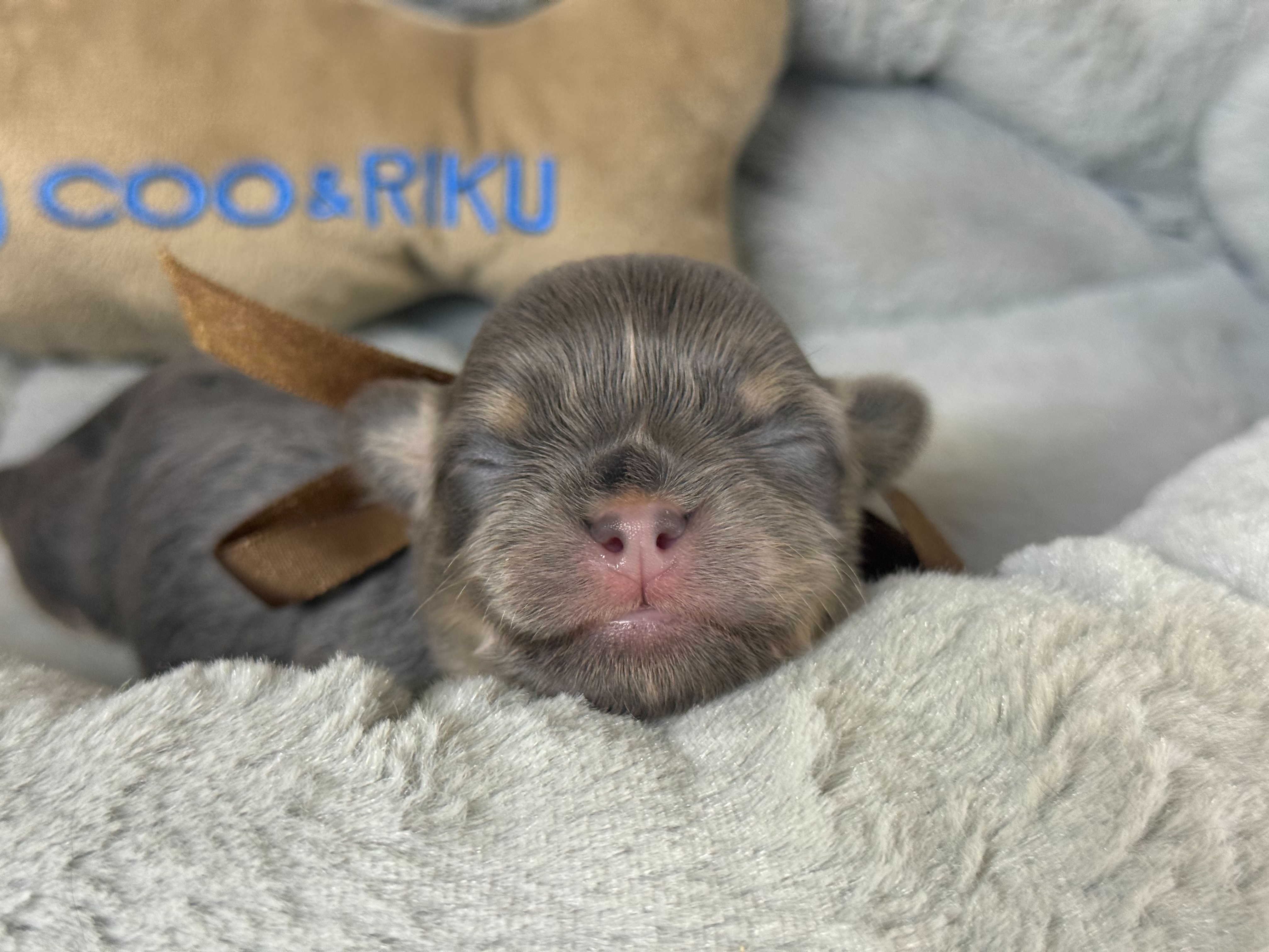赤ちゃん写真1-1