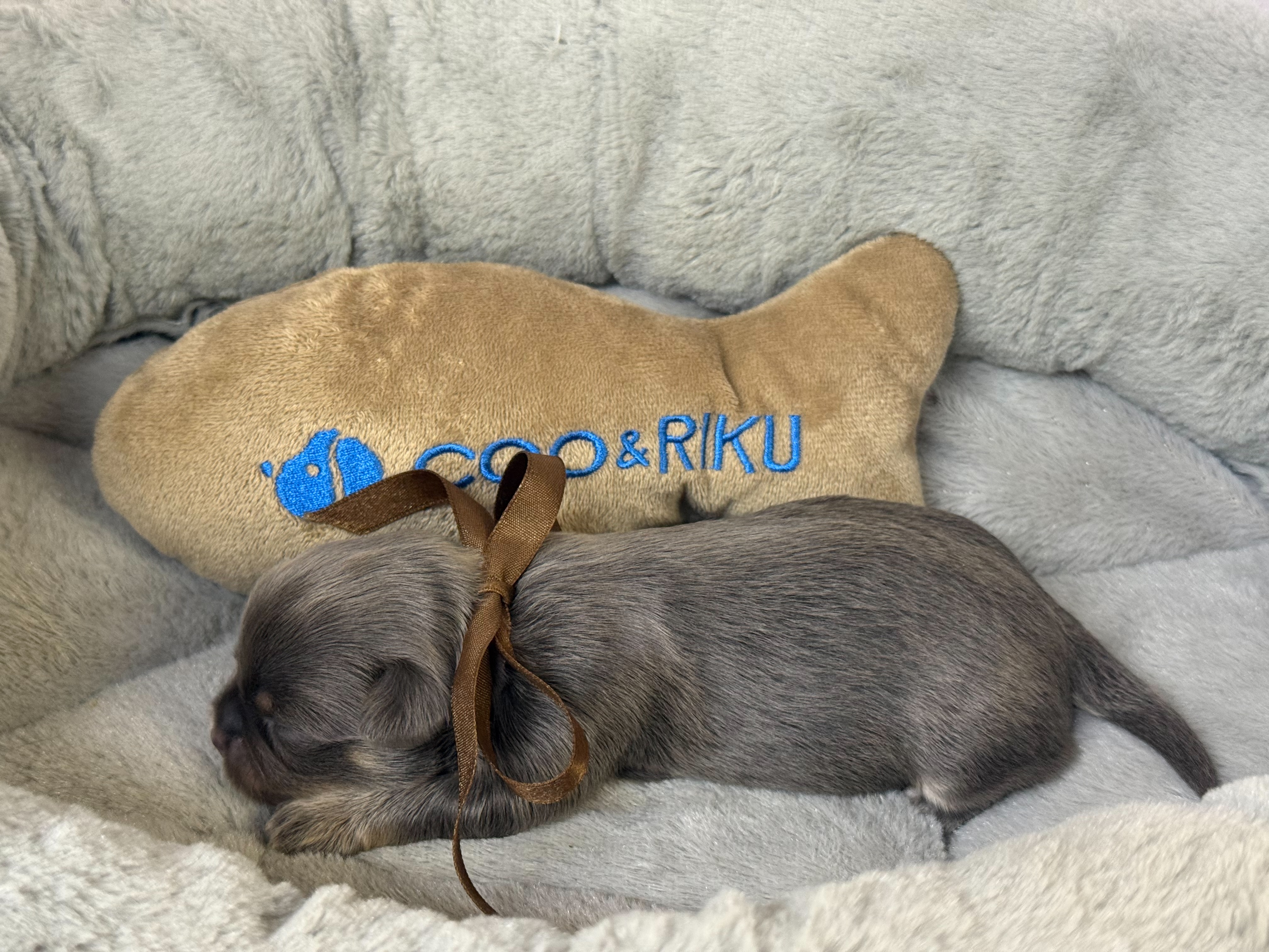 赤ちゃん写真1-2