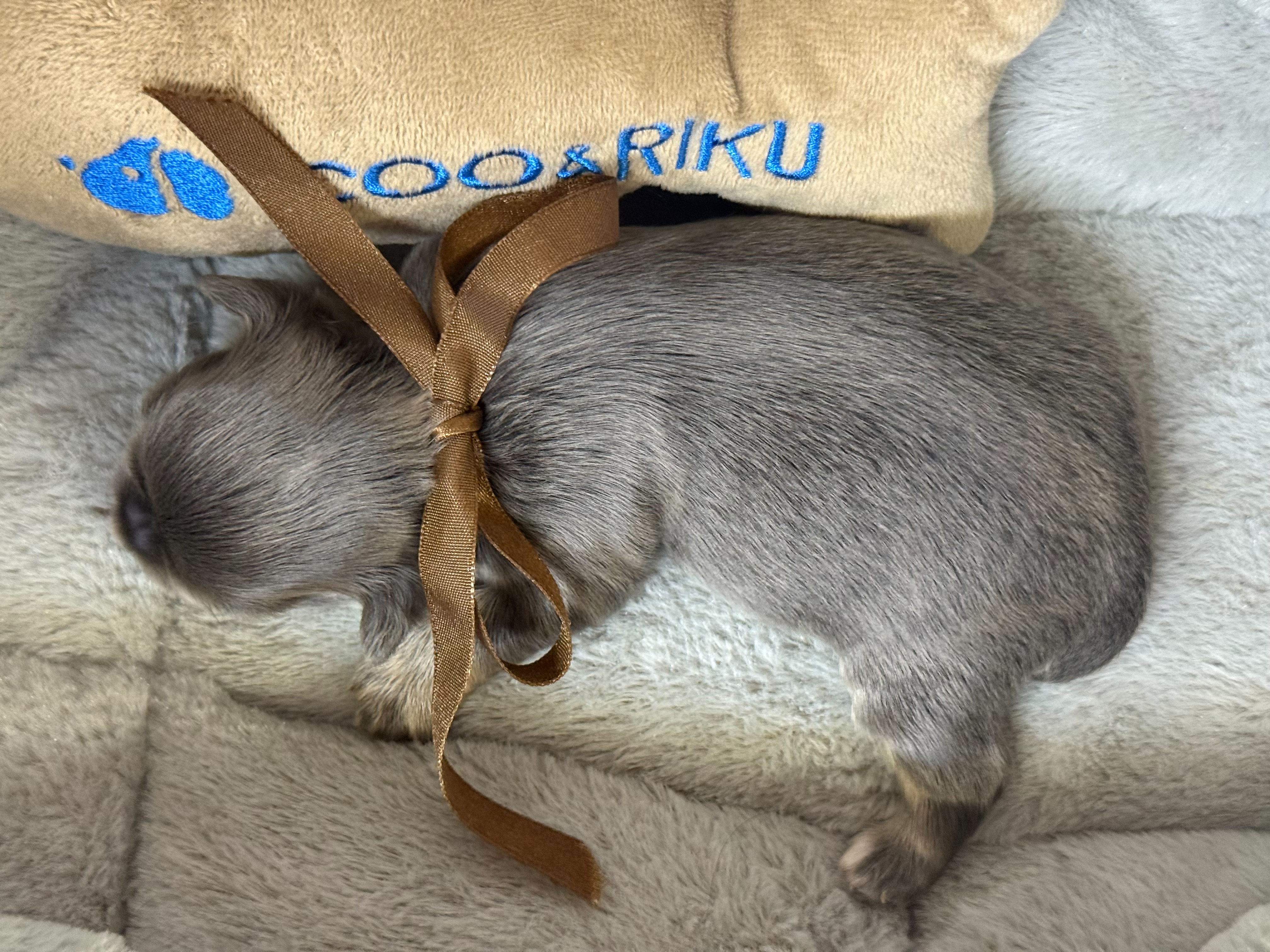 赤ちゃん写真1-3